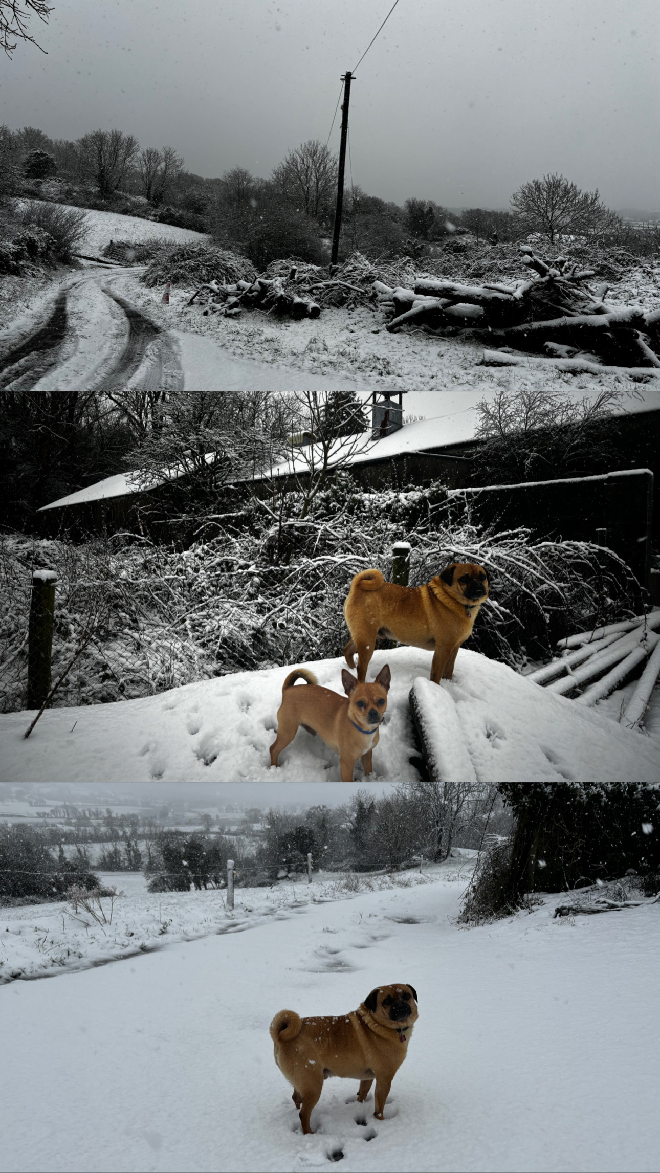 image-9