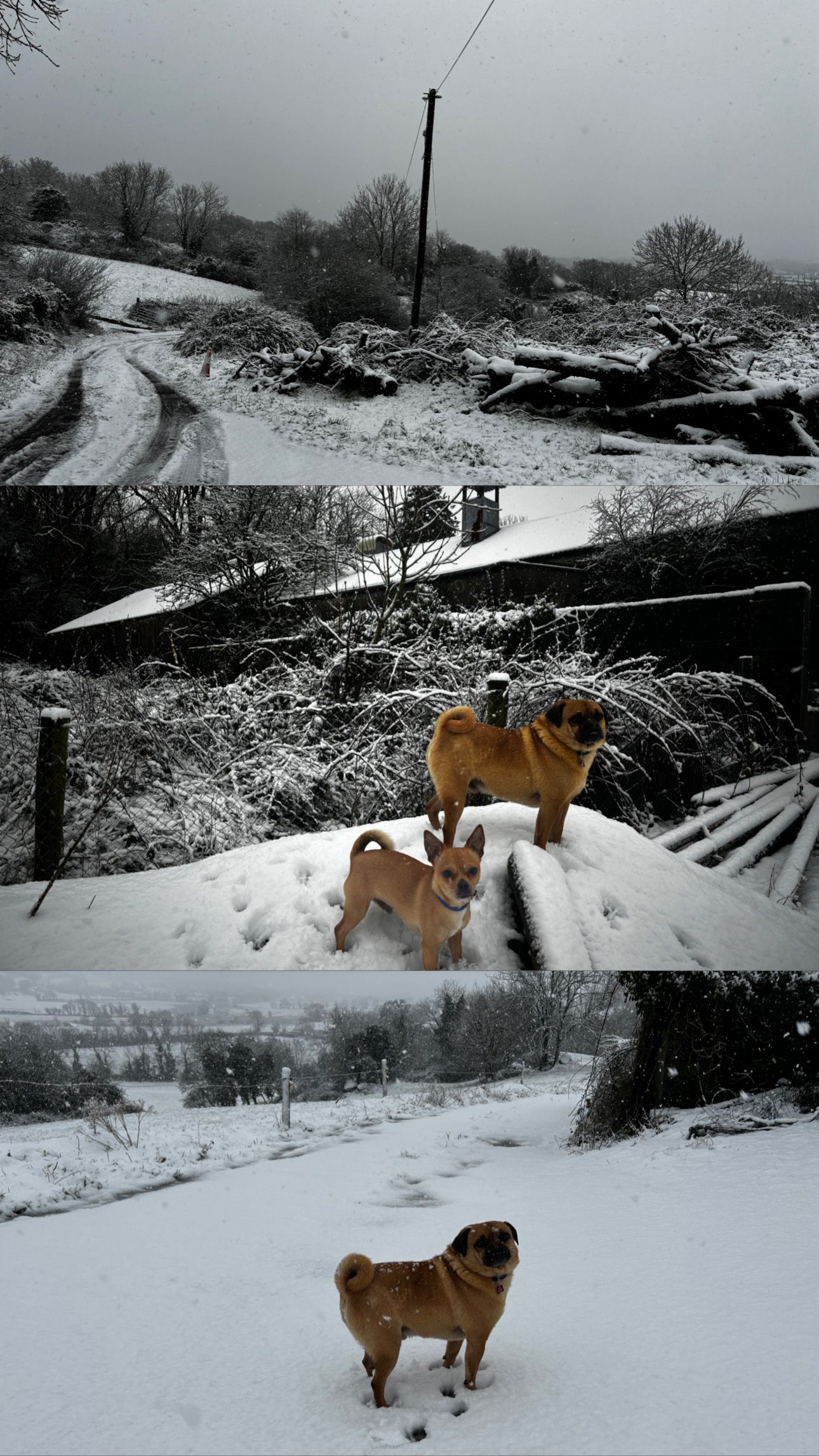 image-9