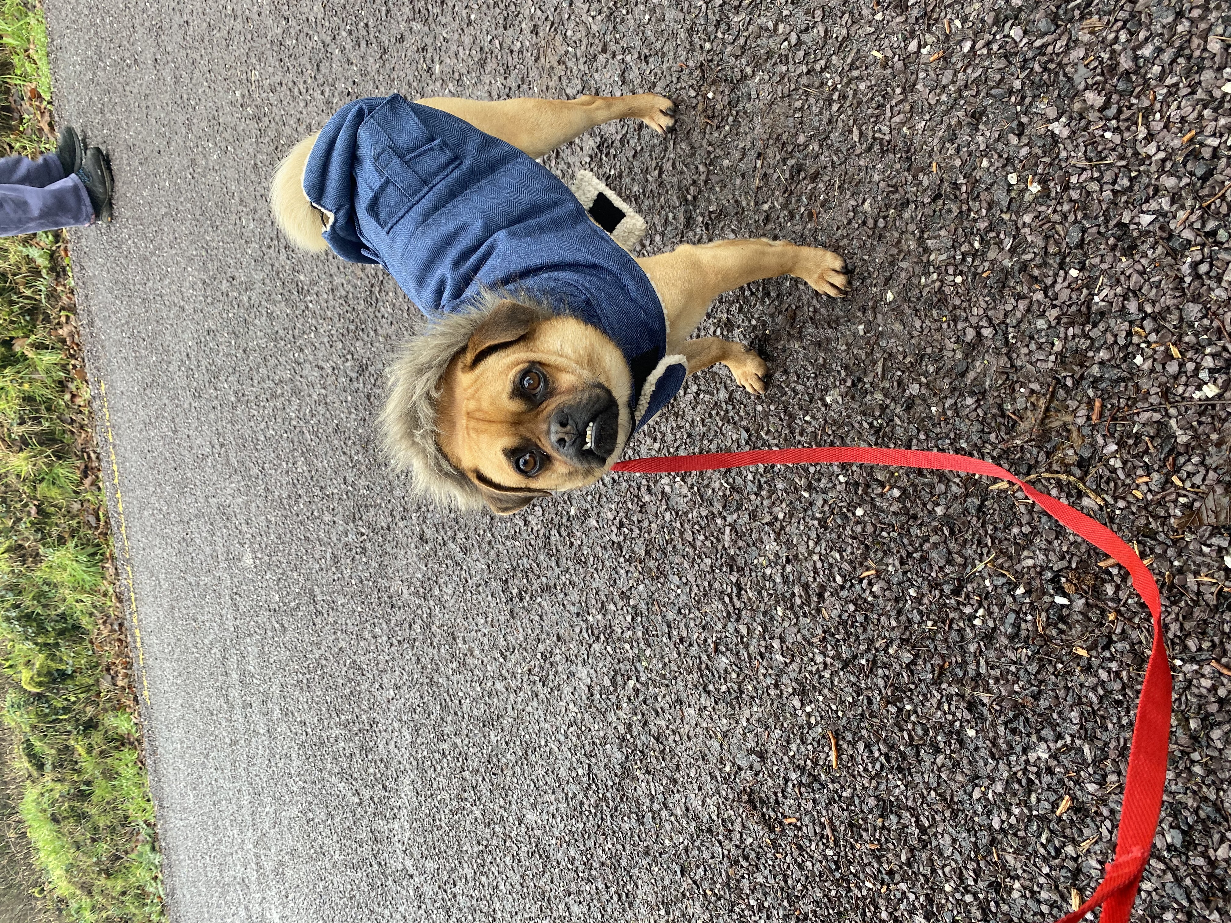 image-8