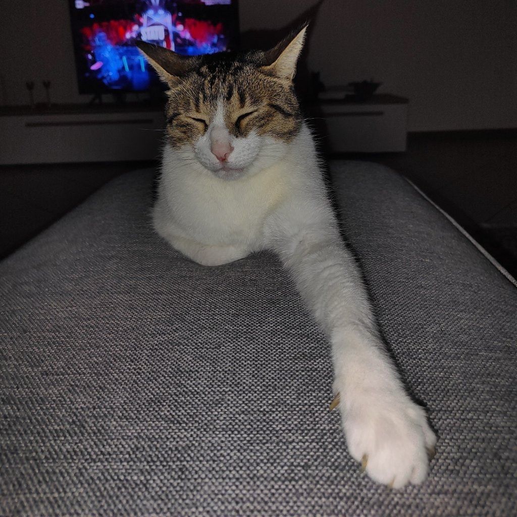 Paolino