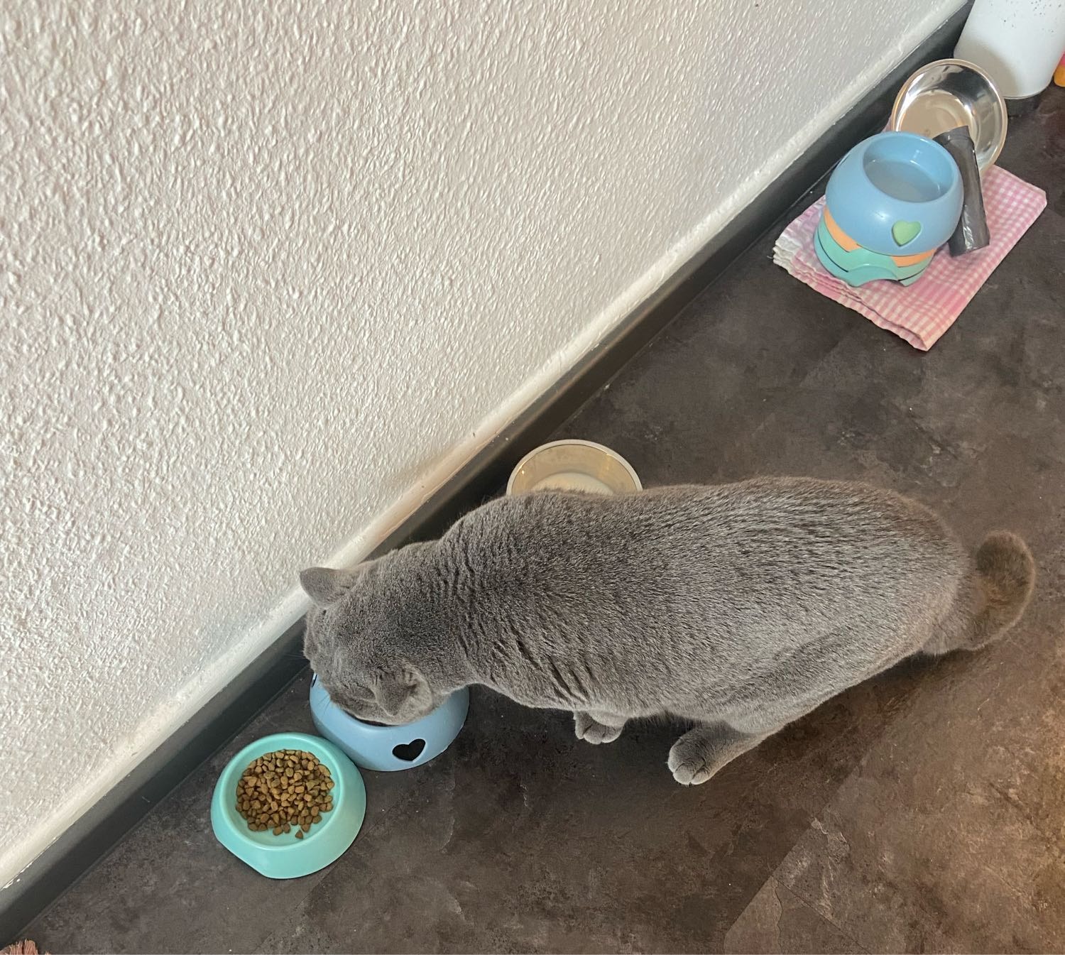 image-6