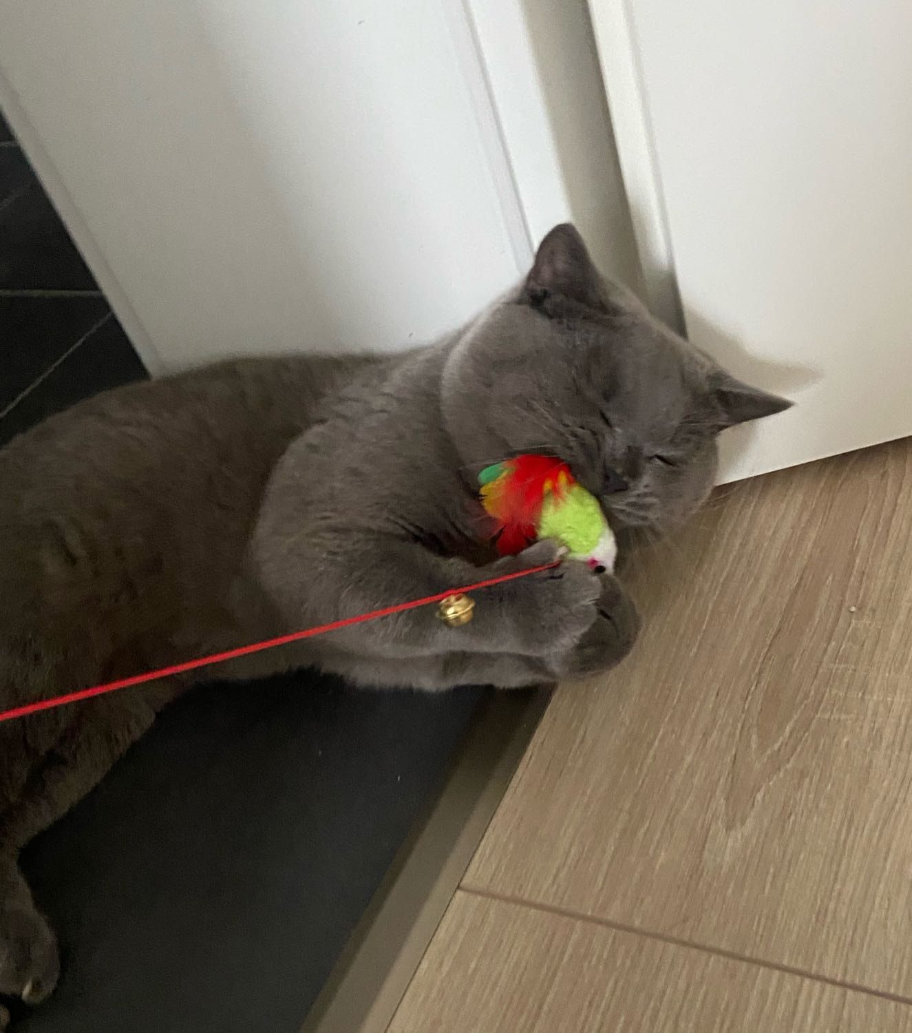 image-10