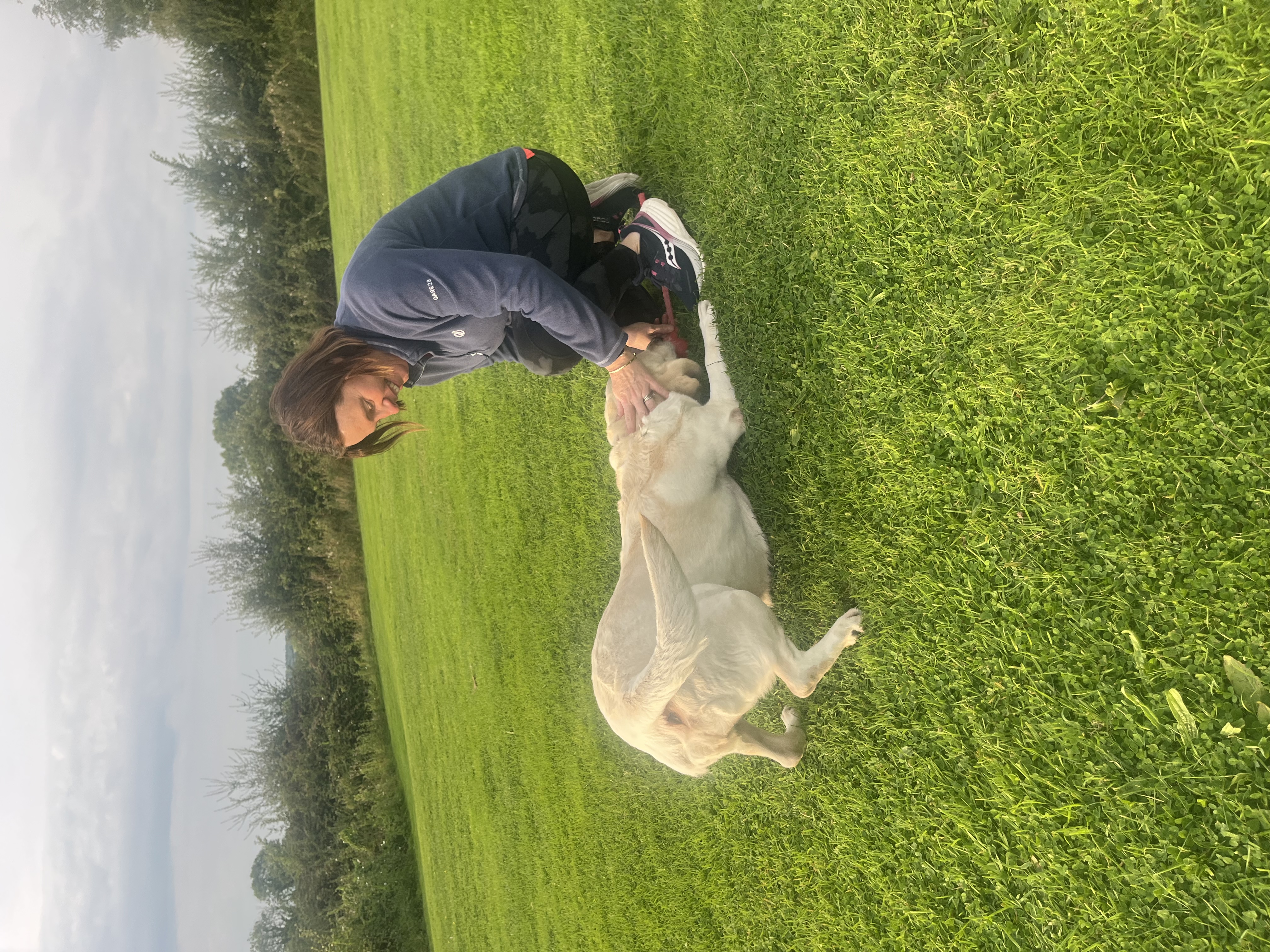 image-7