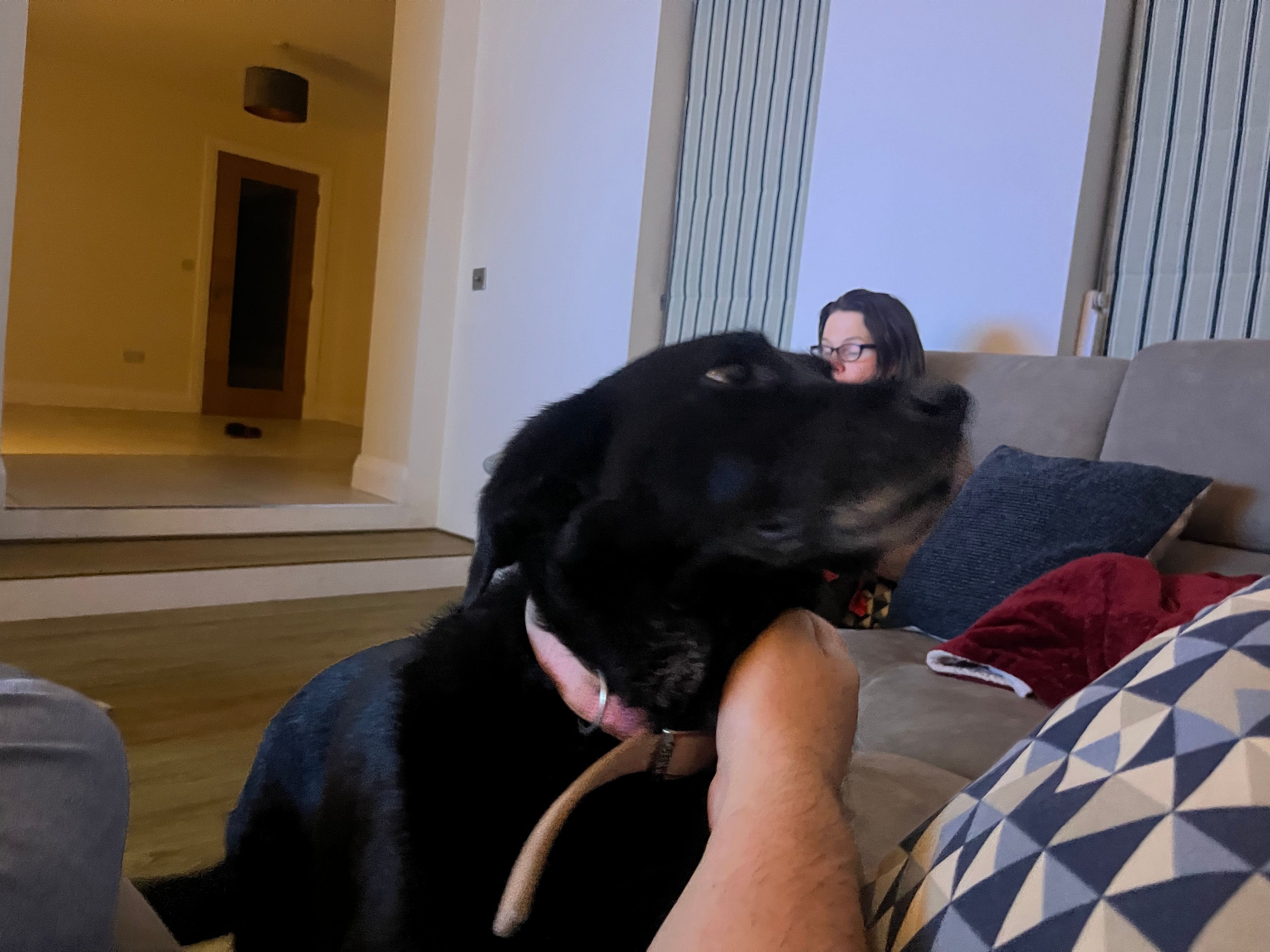 image-11
