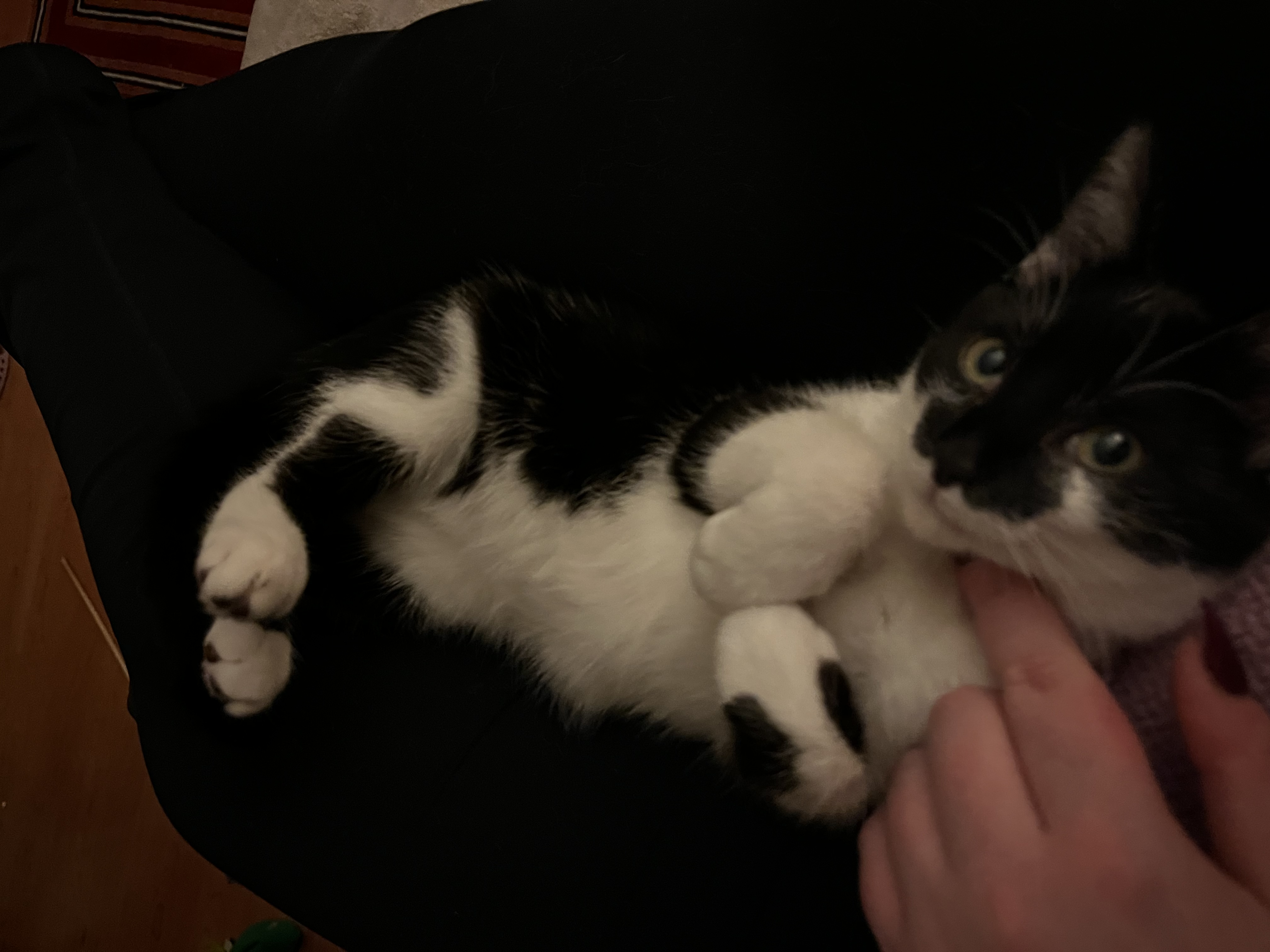 image-12