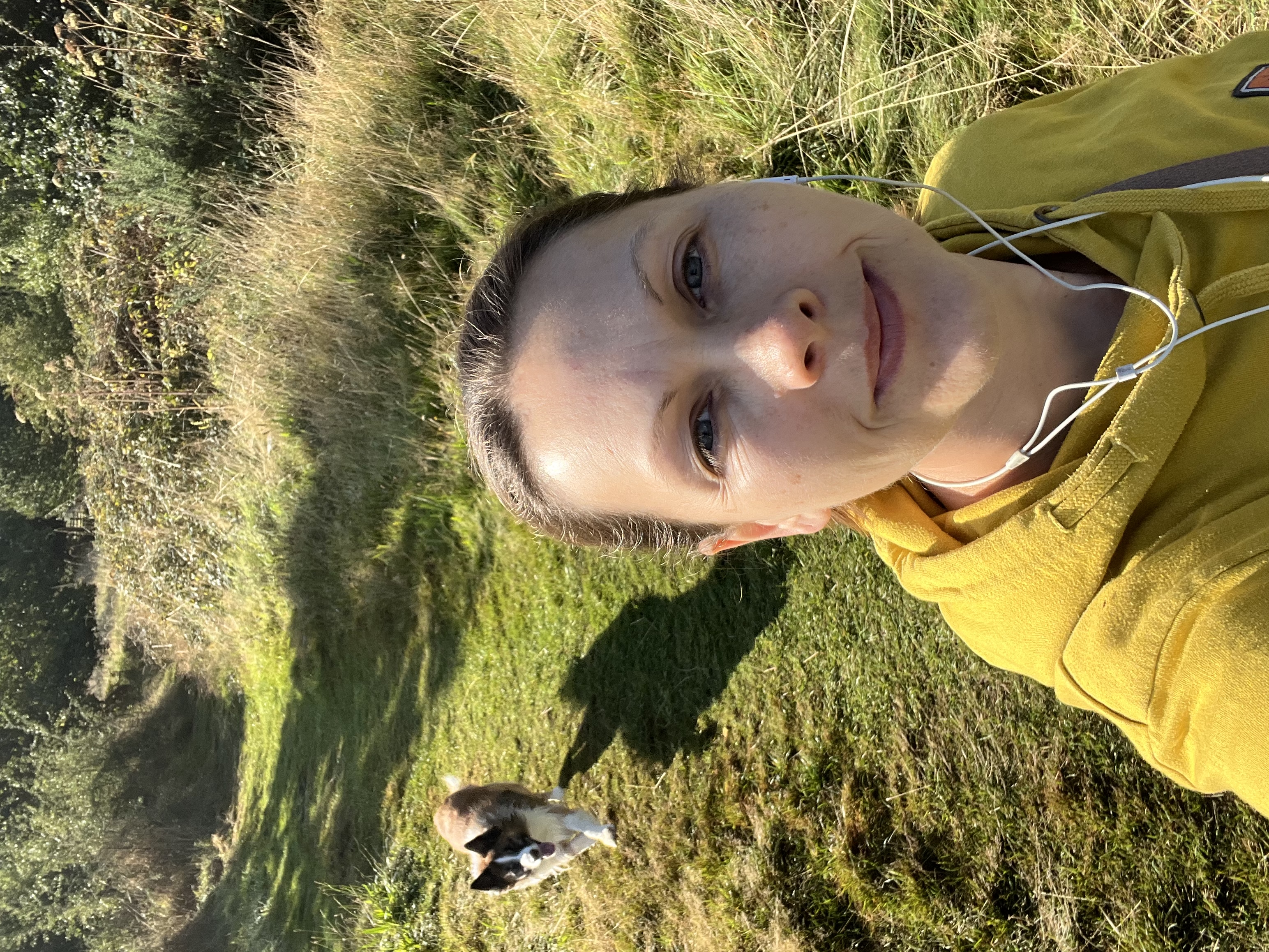 image-4