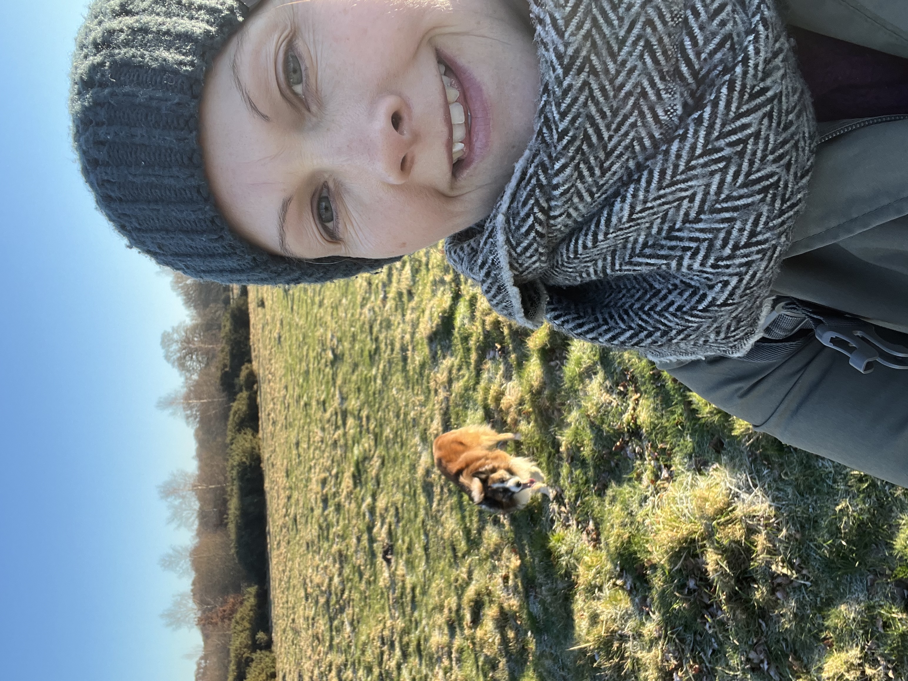 image-7