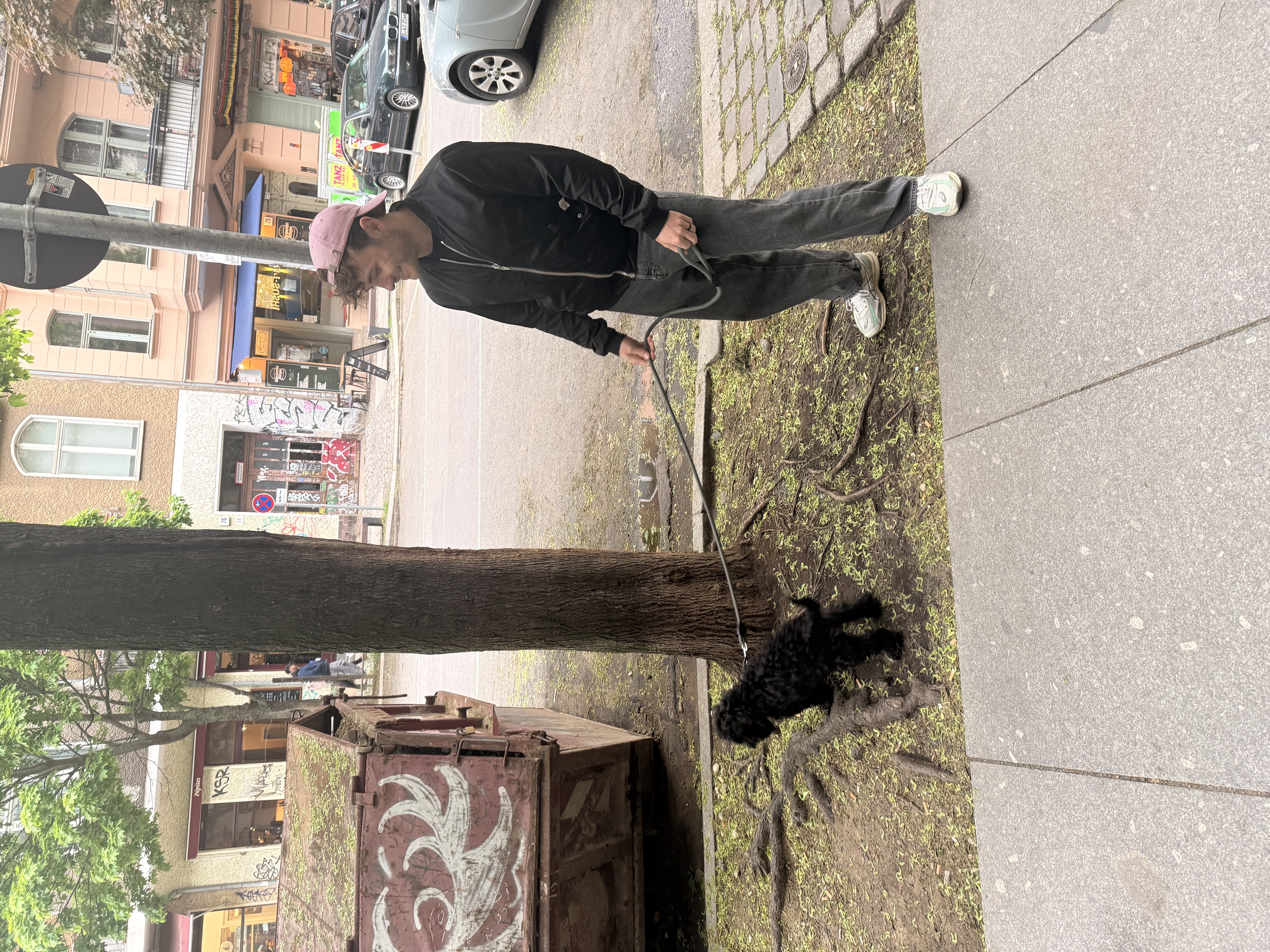 image-7