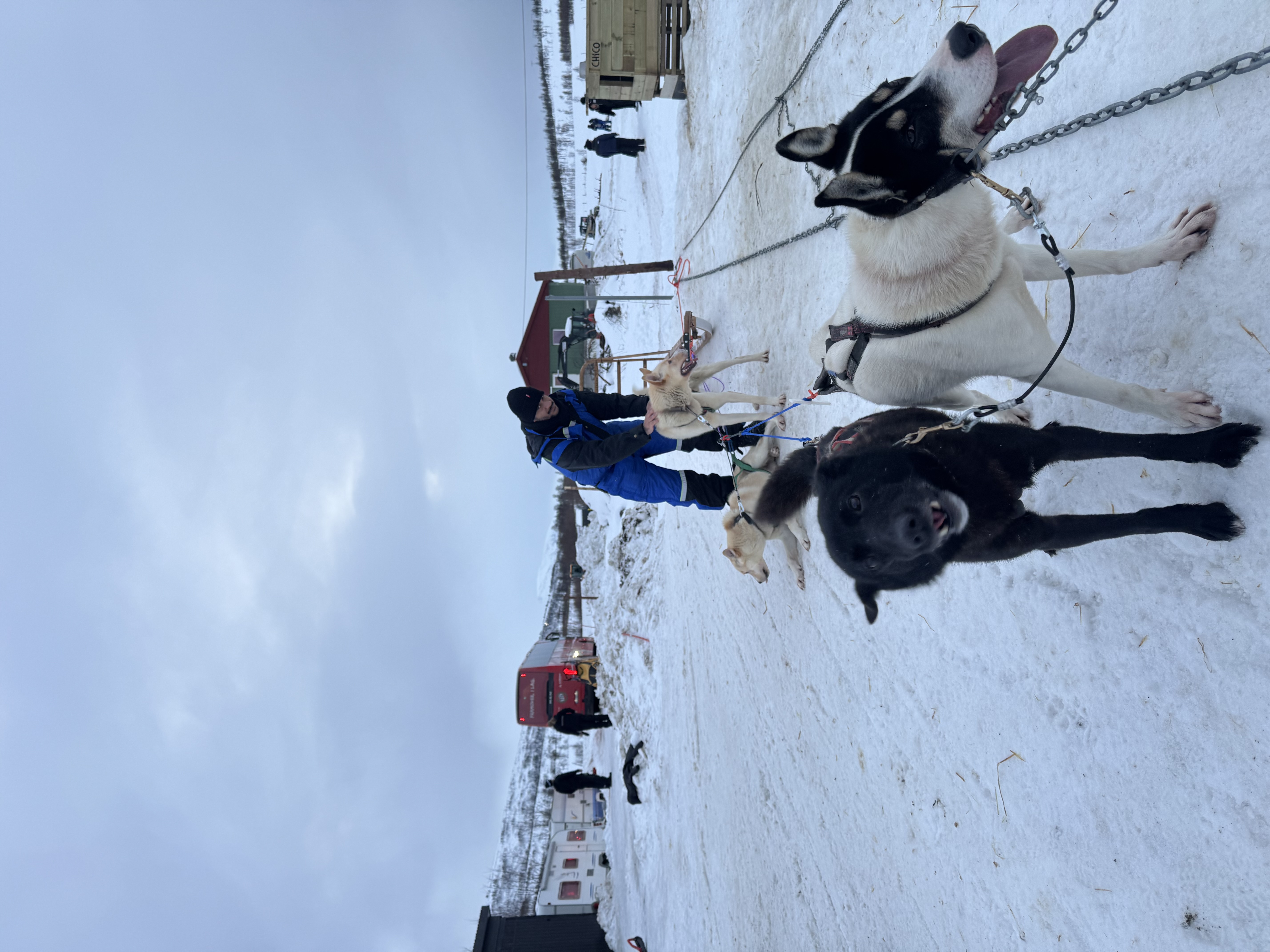 image-7