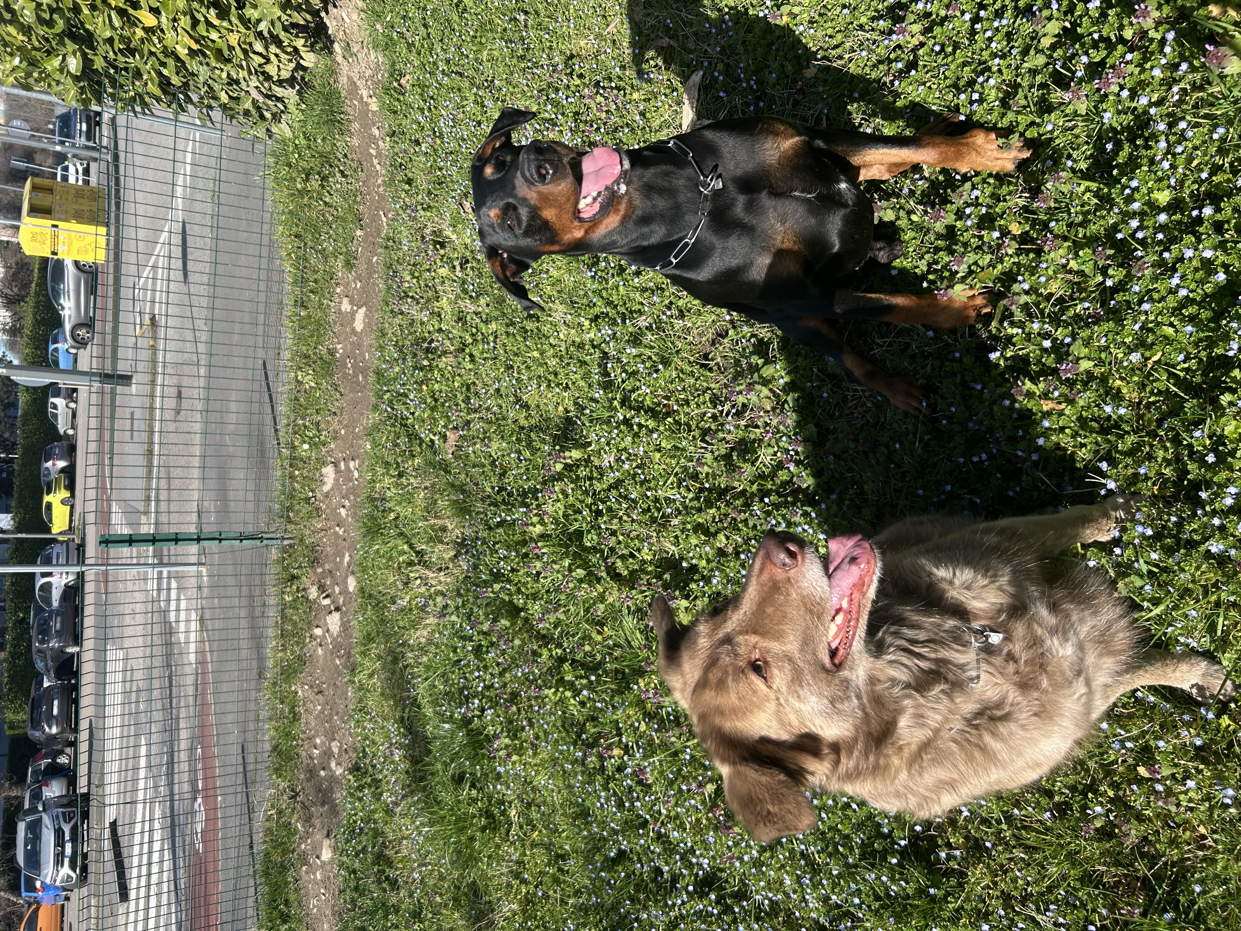 image-5