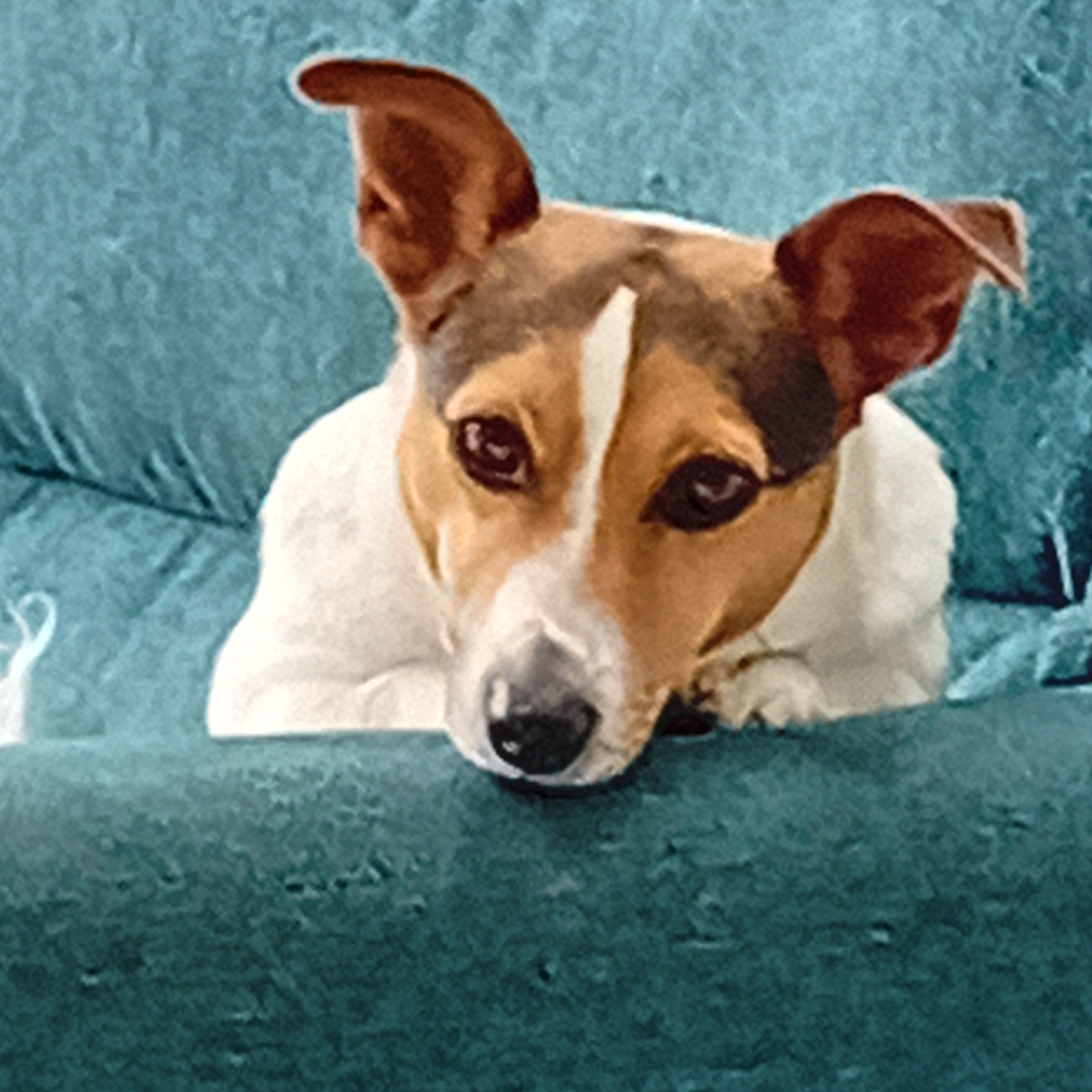 Pip