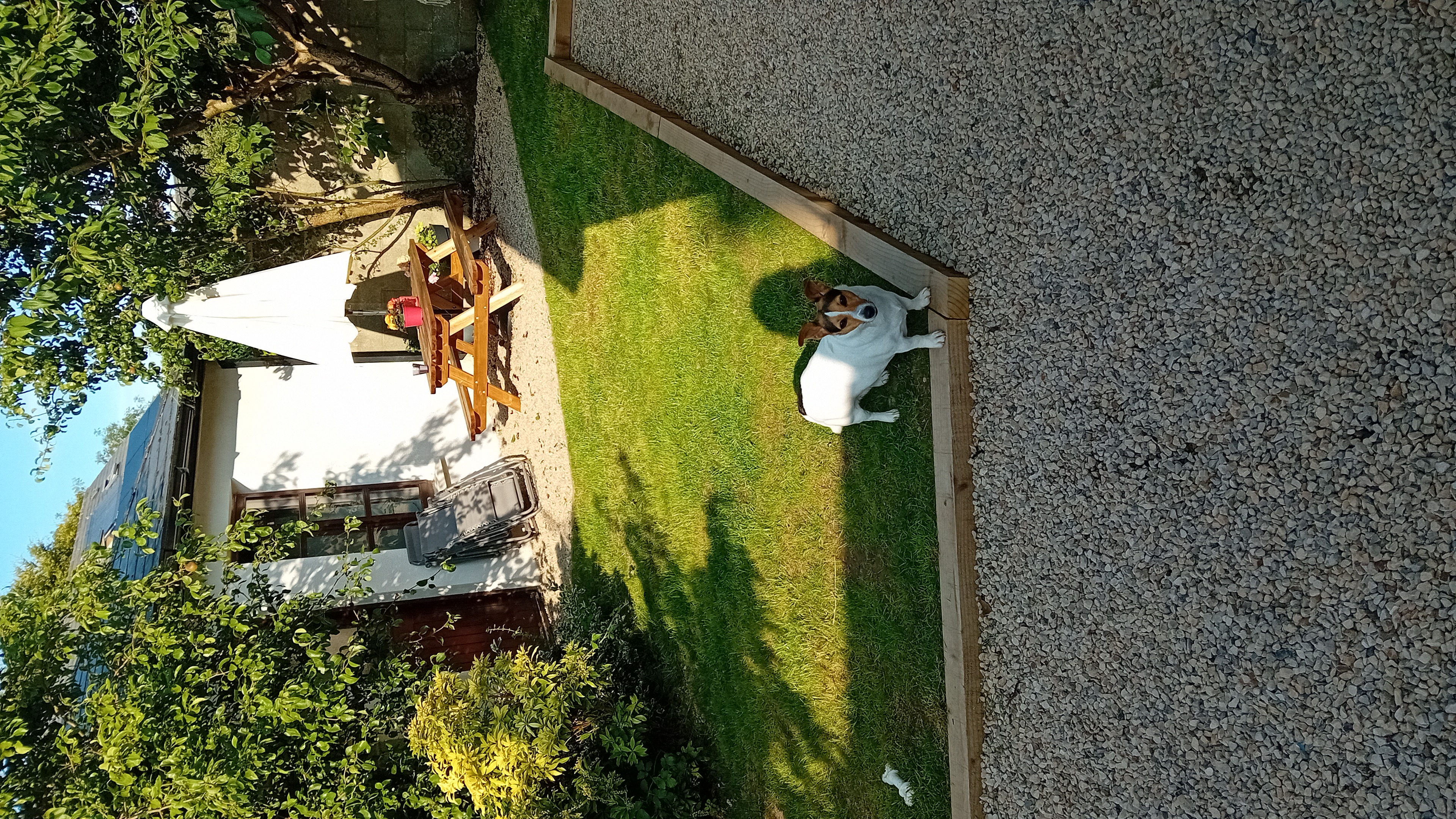 image-20