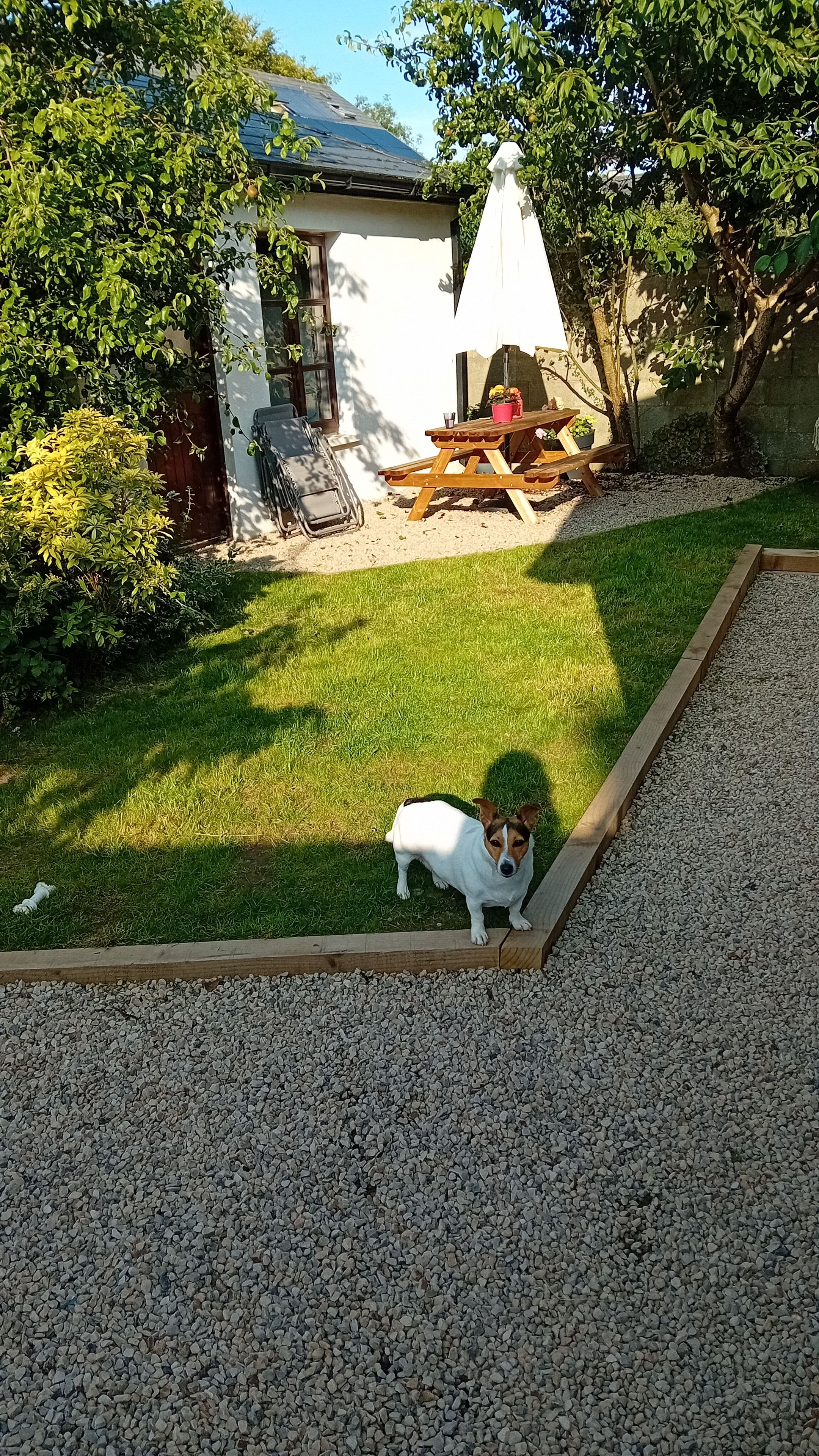 image-20