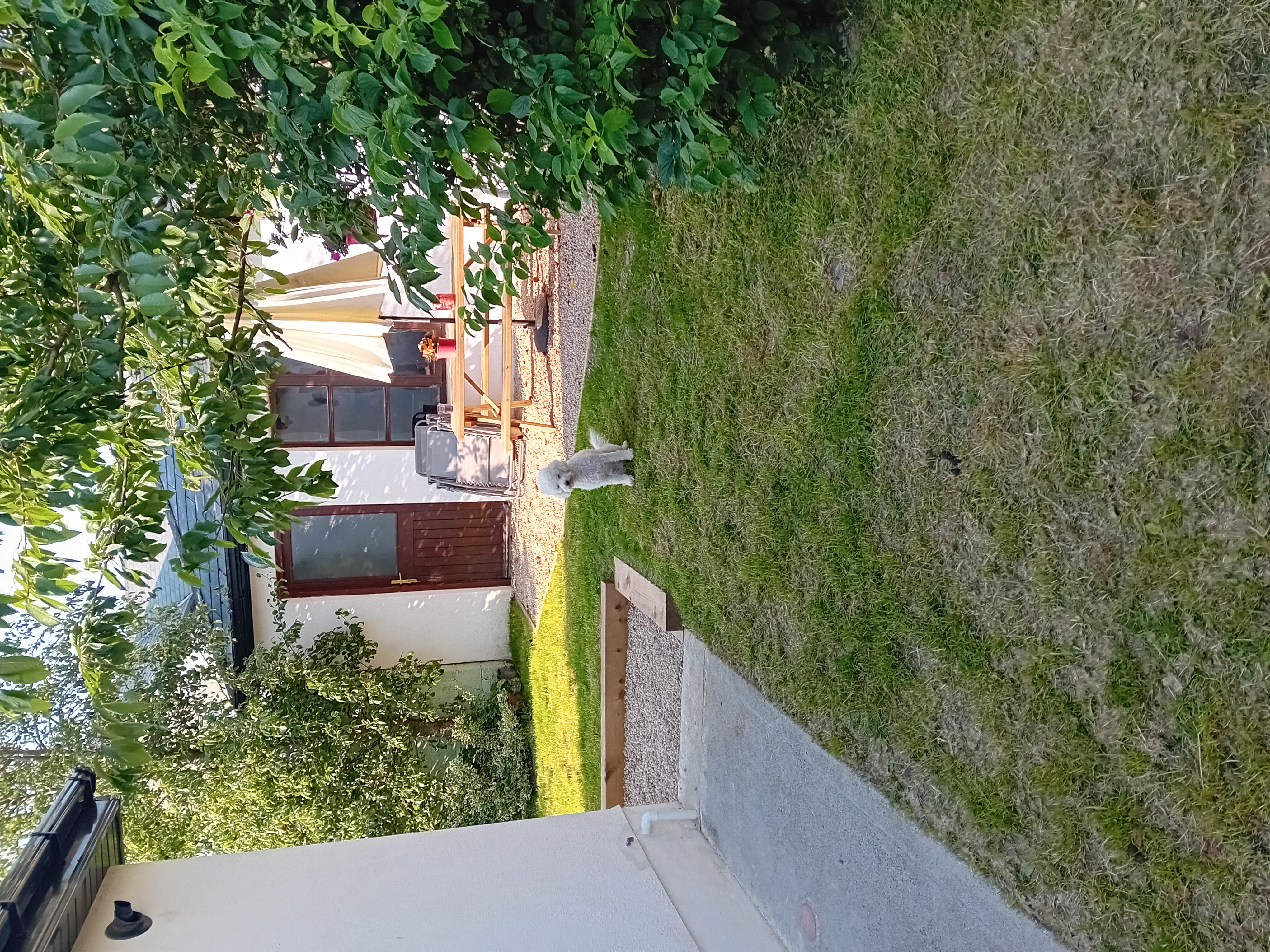 image-18