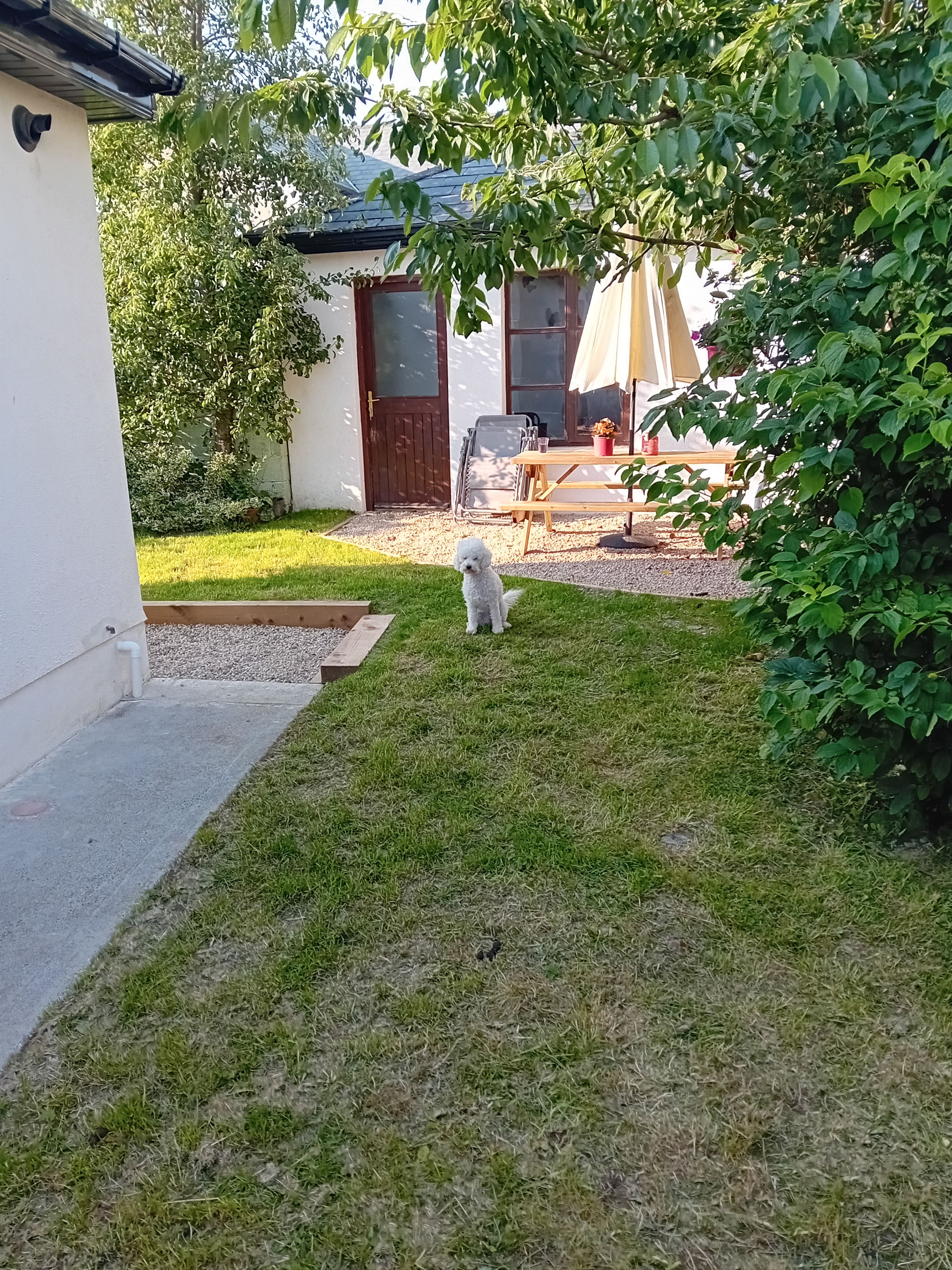 image-18