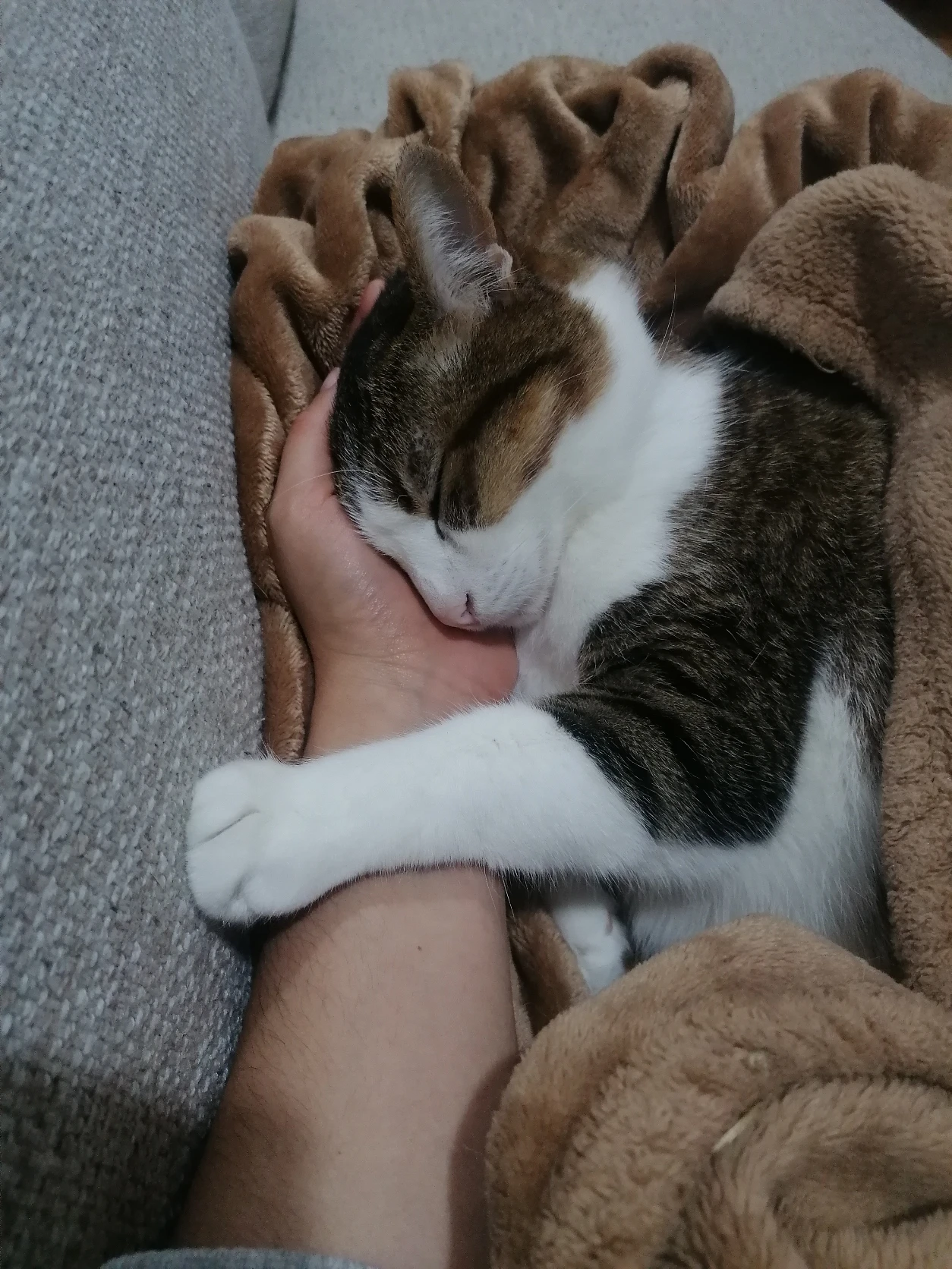 image-6