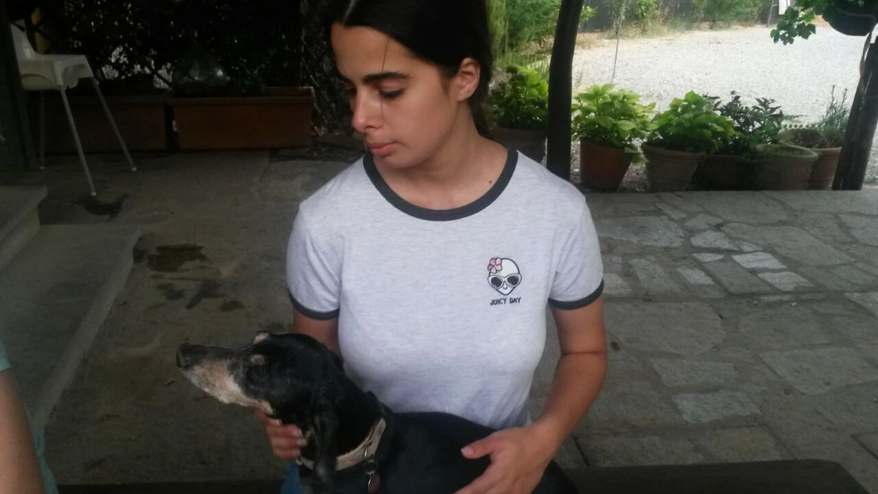 image-7