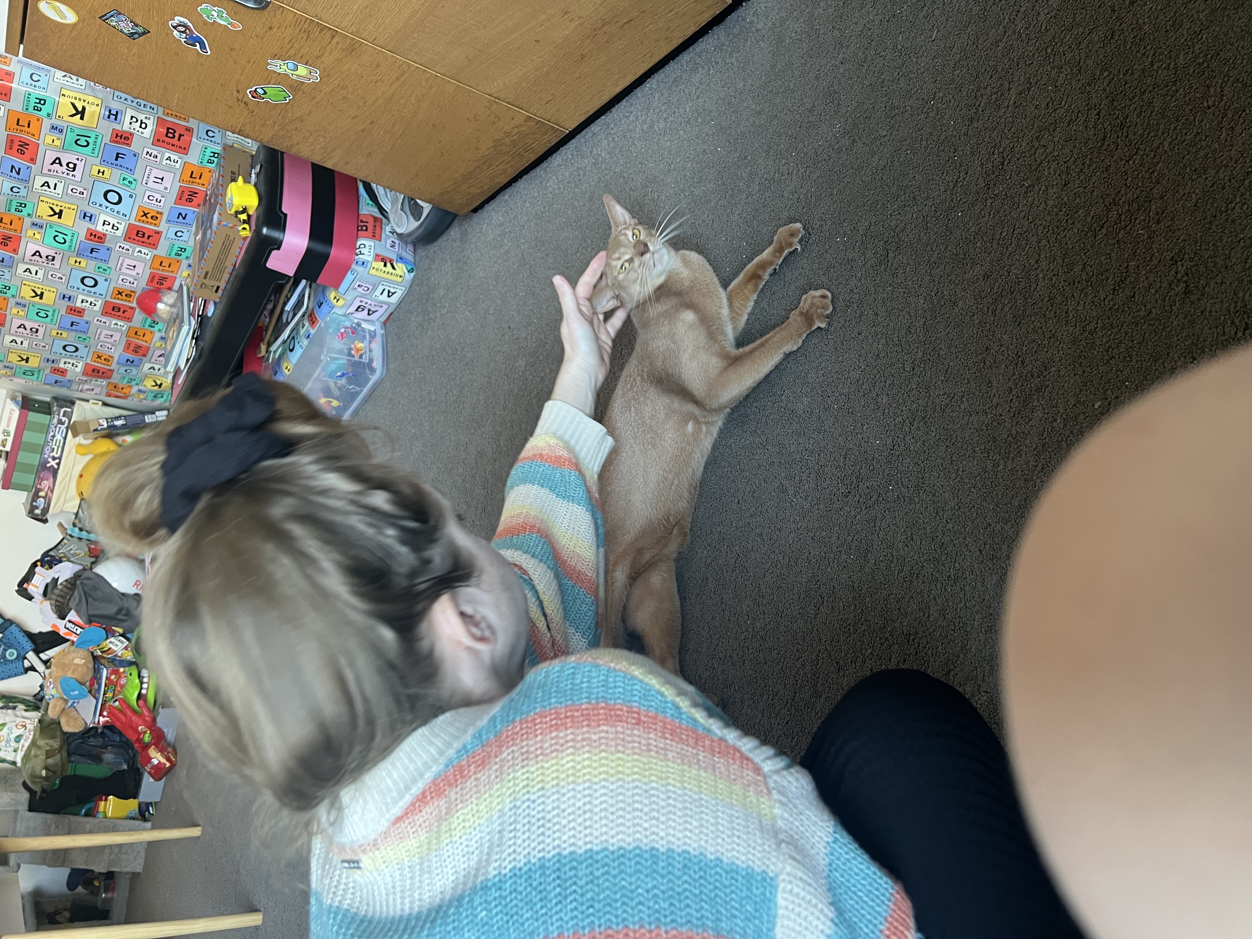 image-5