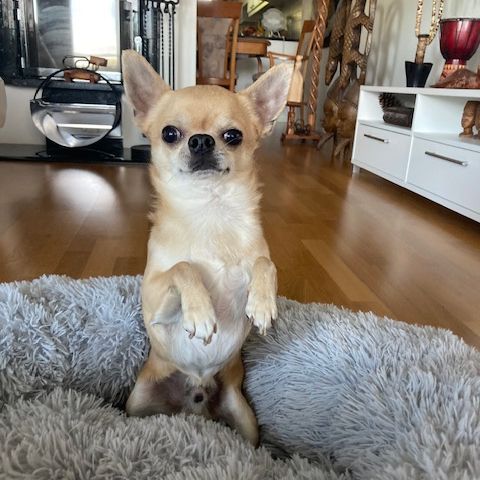 Onni