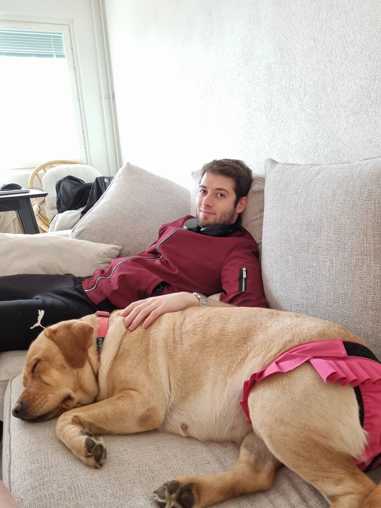 image-8