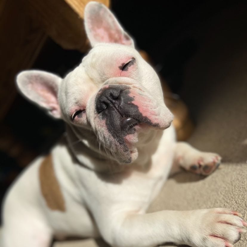 Reggie