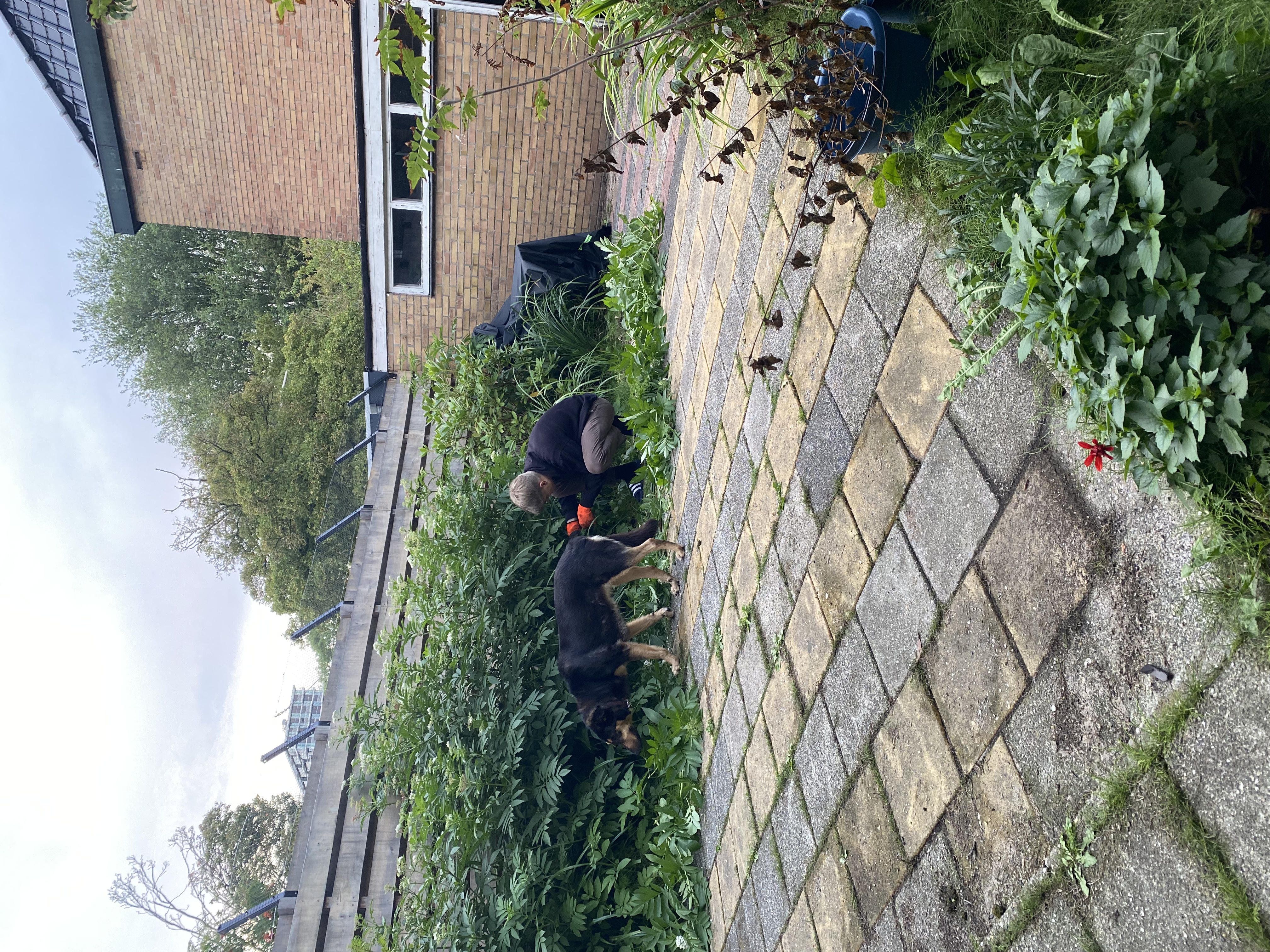 image-13