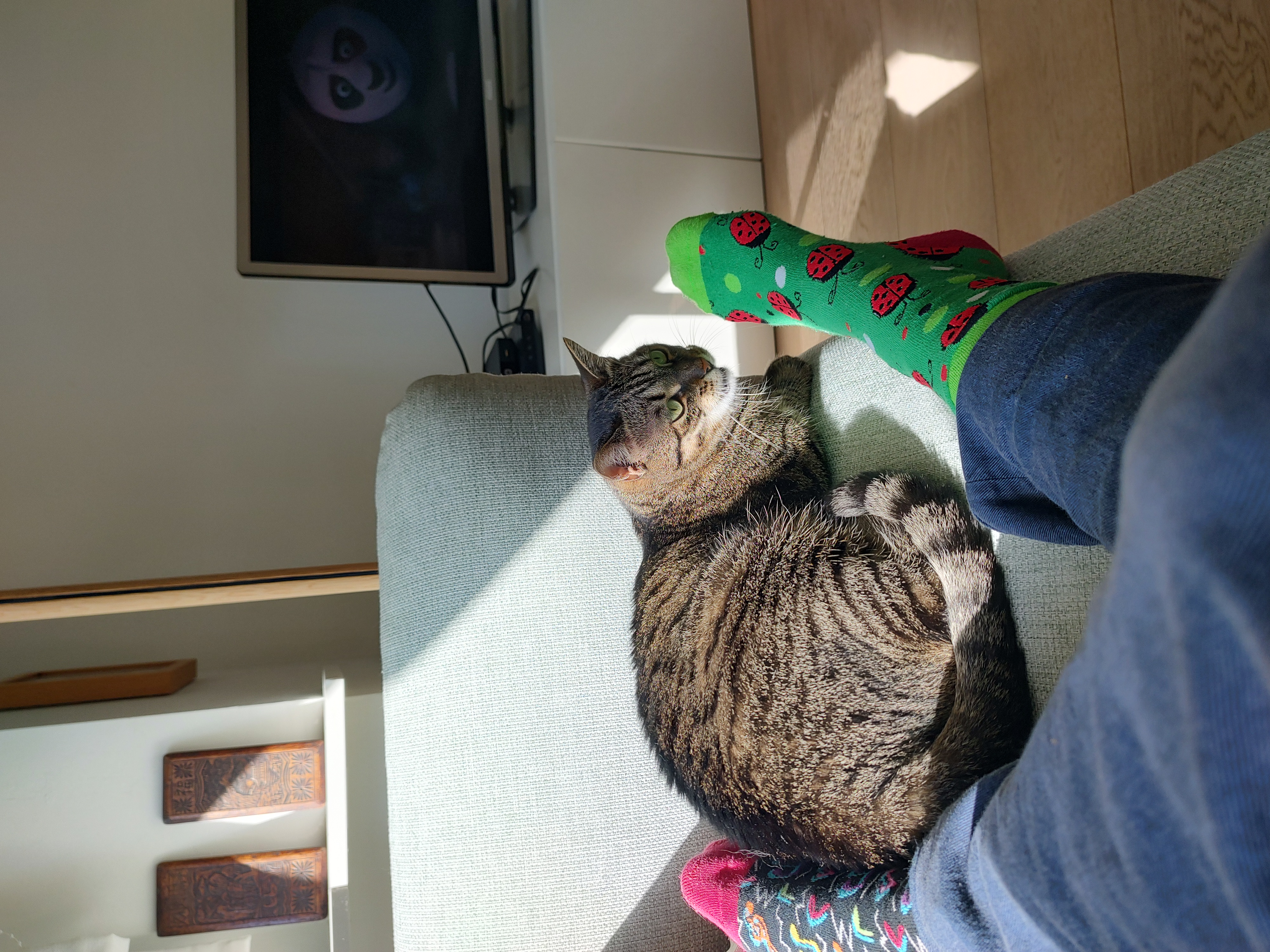 image-9