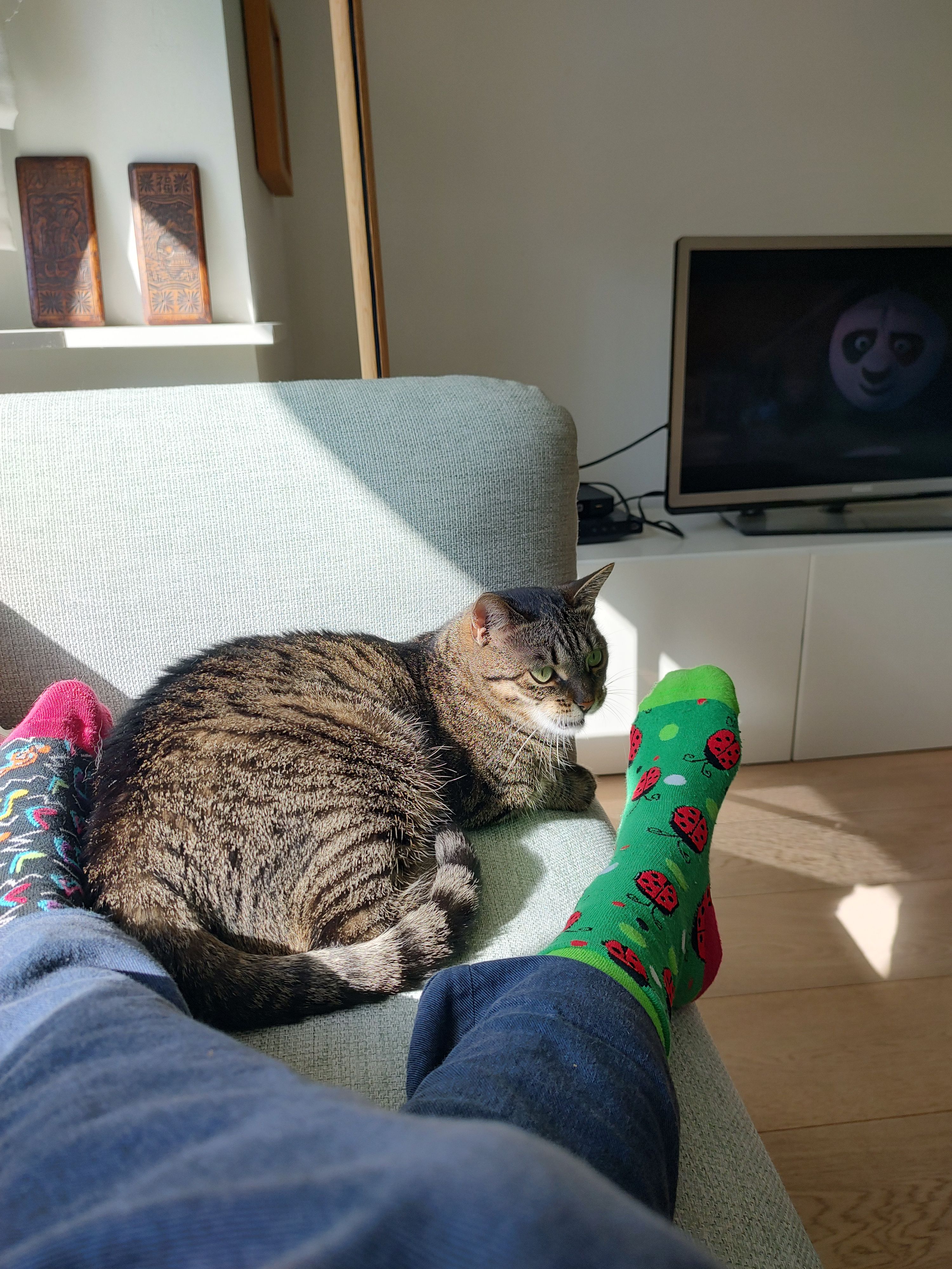 image-9