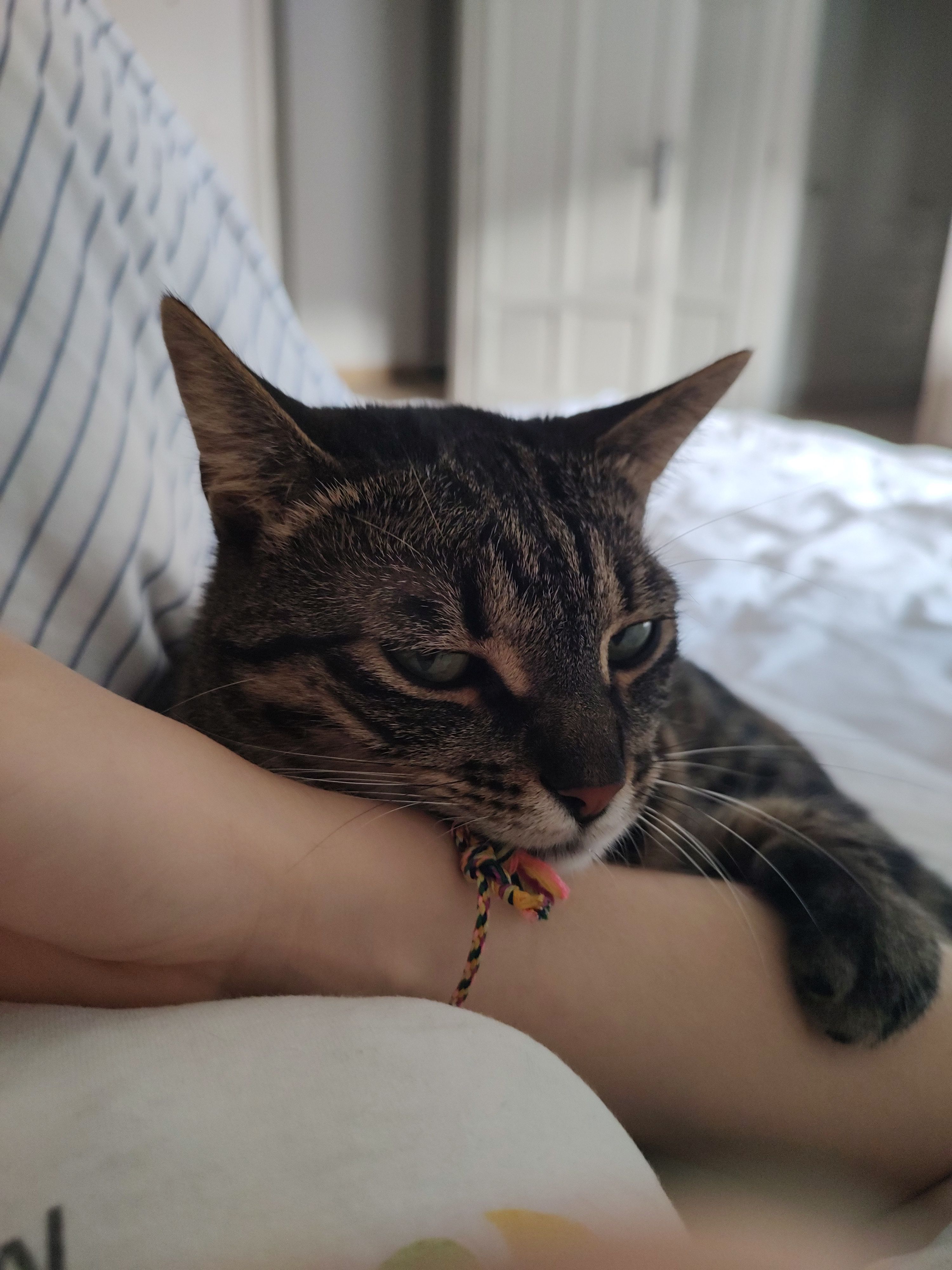 image-8