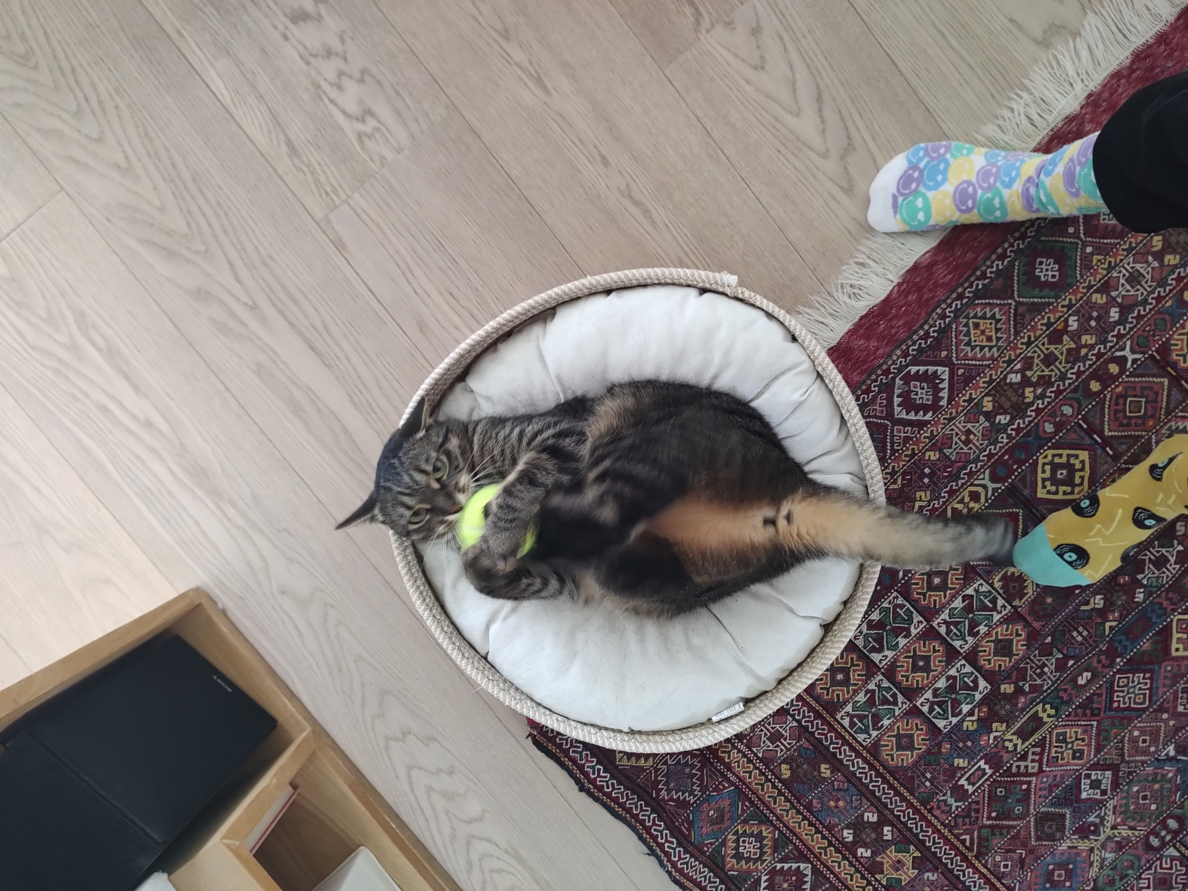 image-11