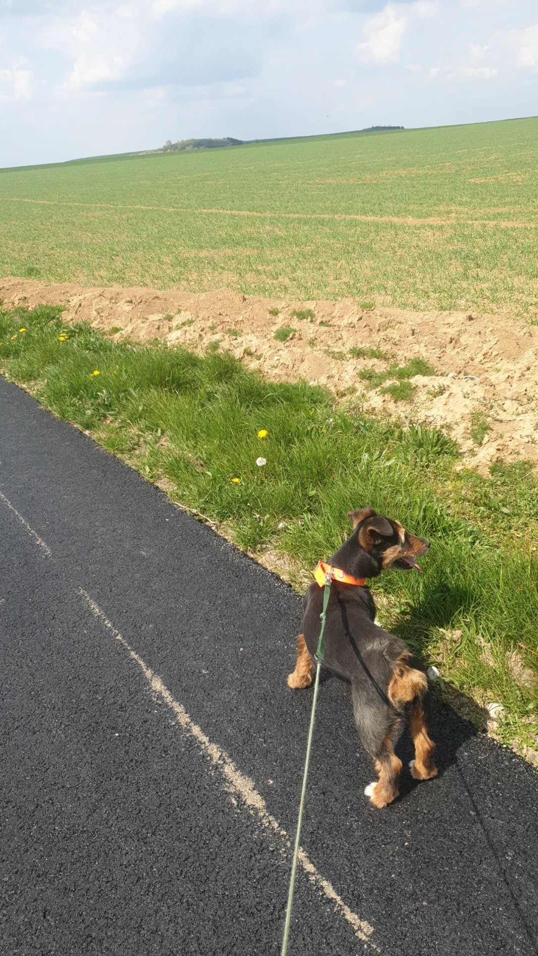 image-16