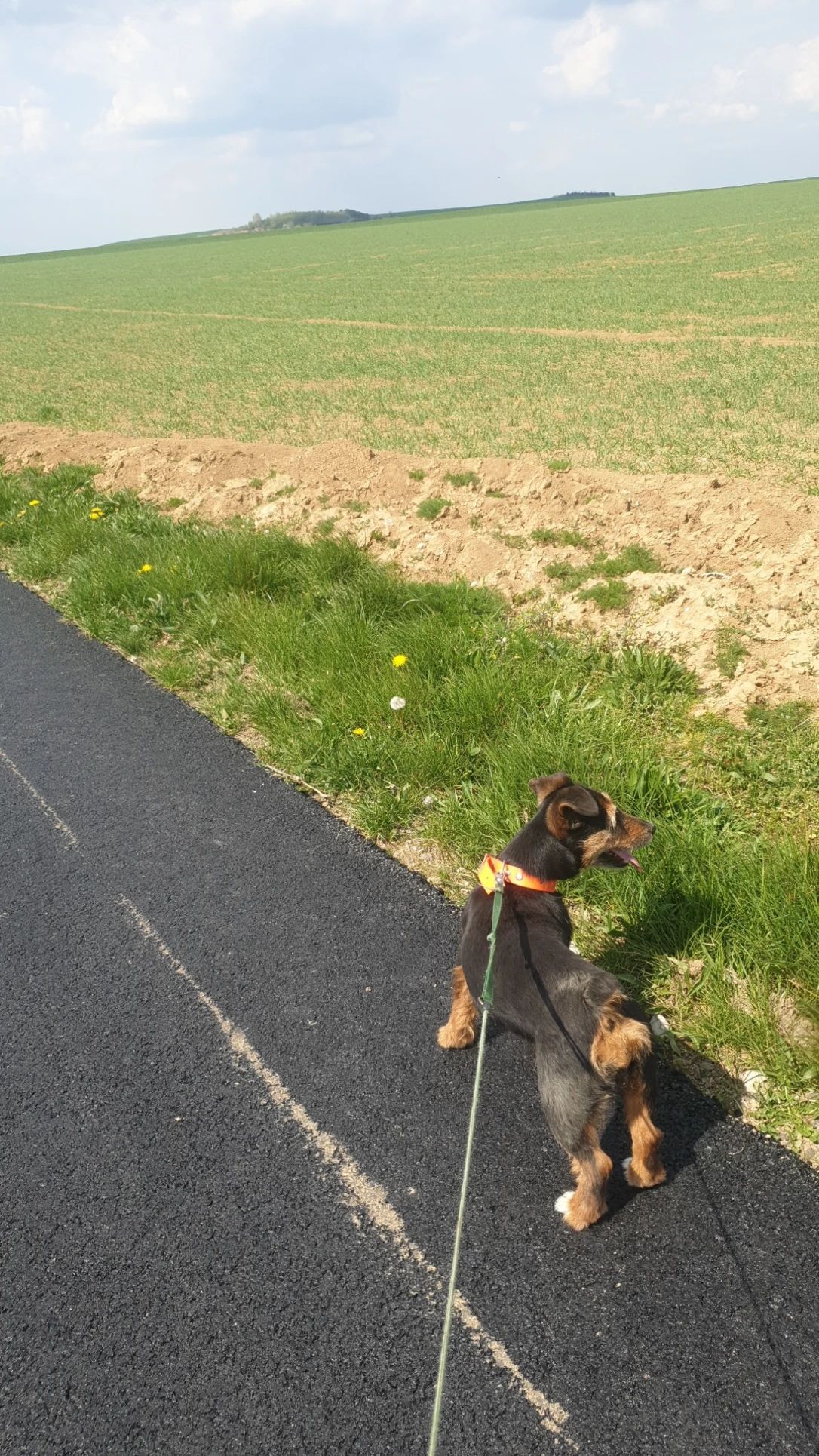image-16
