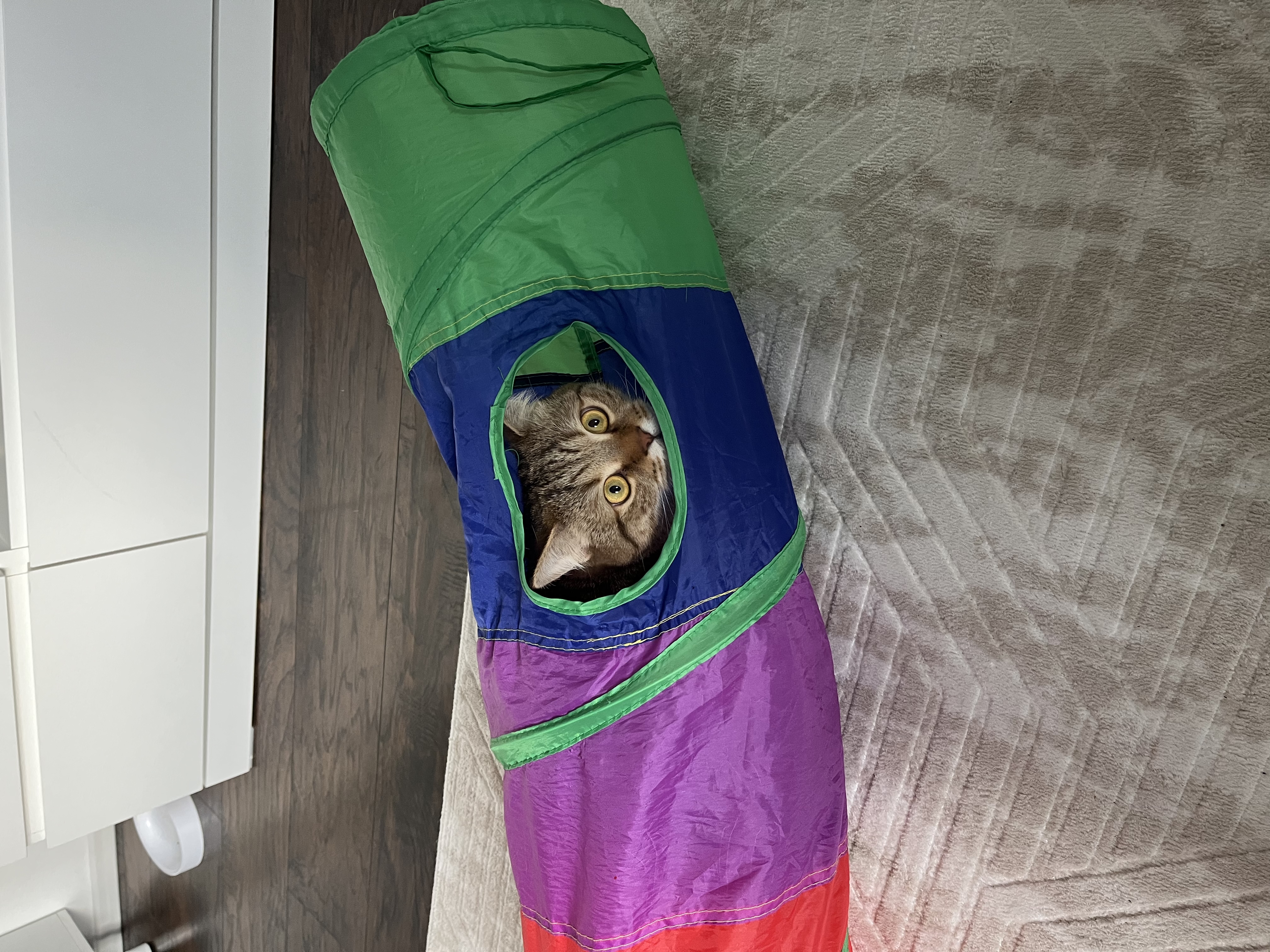 image-9