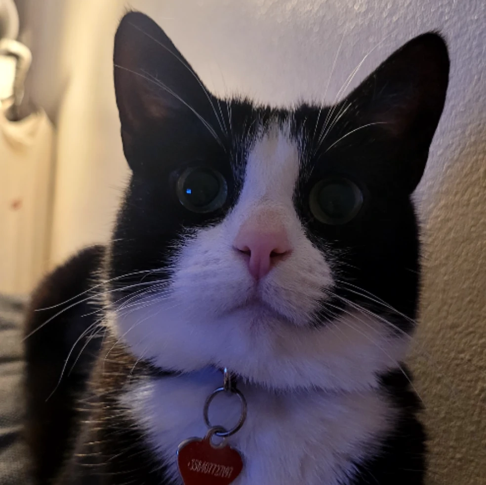 Piki
