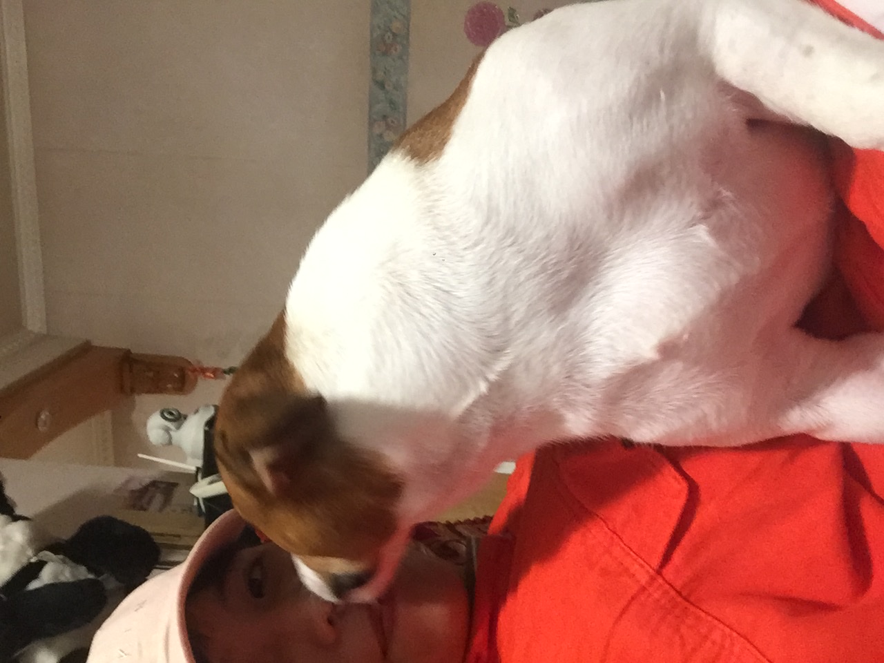 image-5