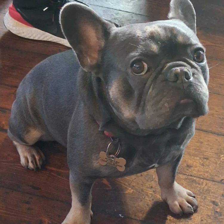 Bob