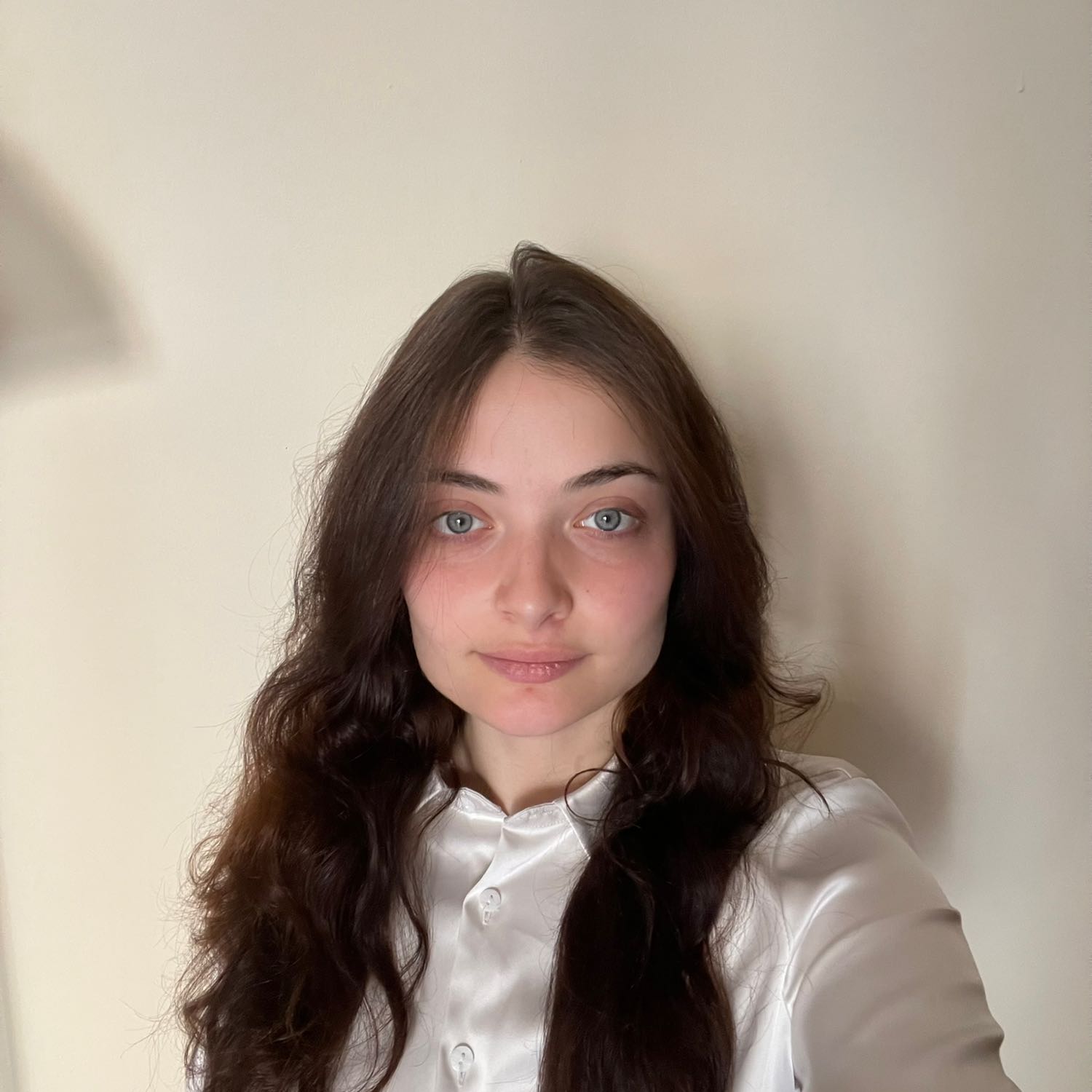 Viola