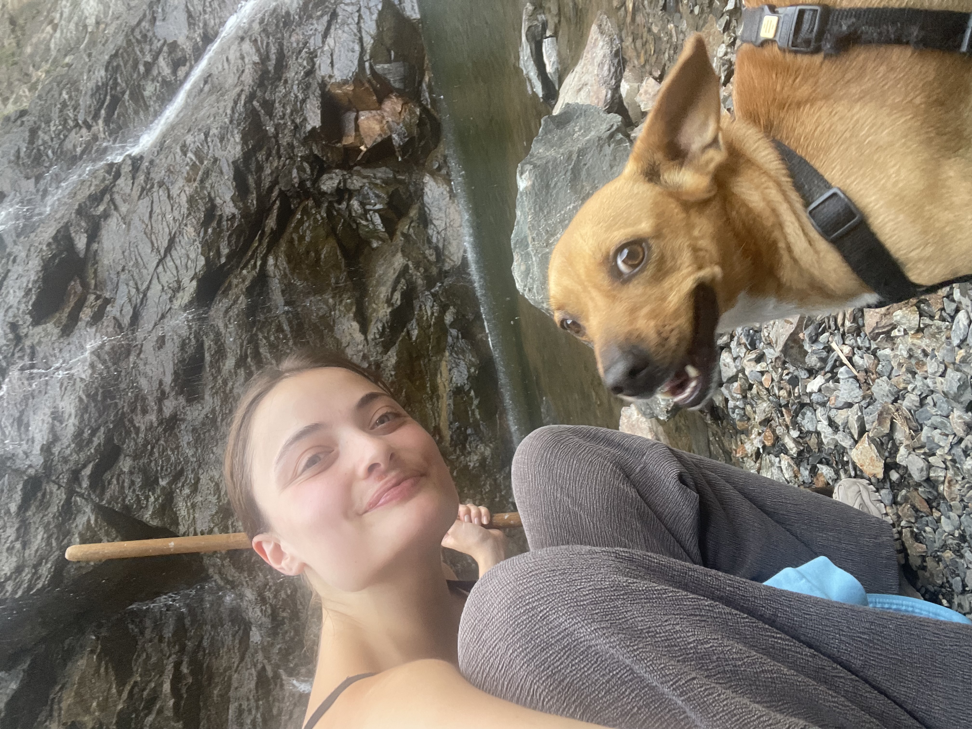 image-4