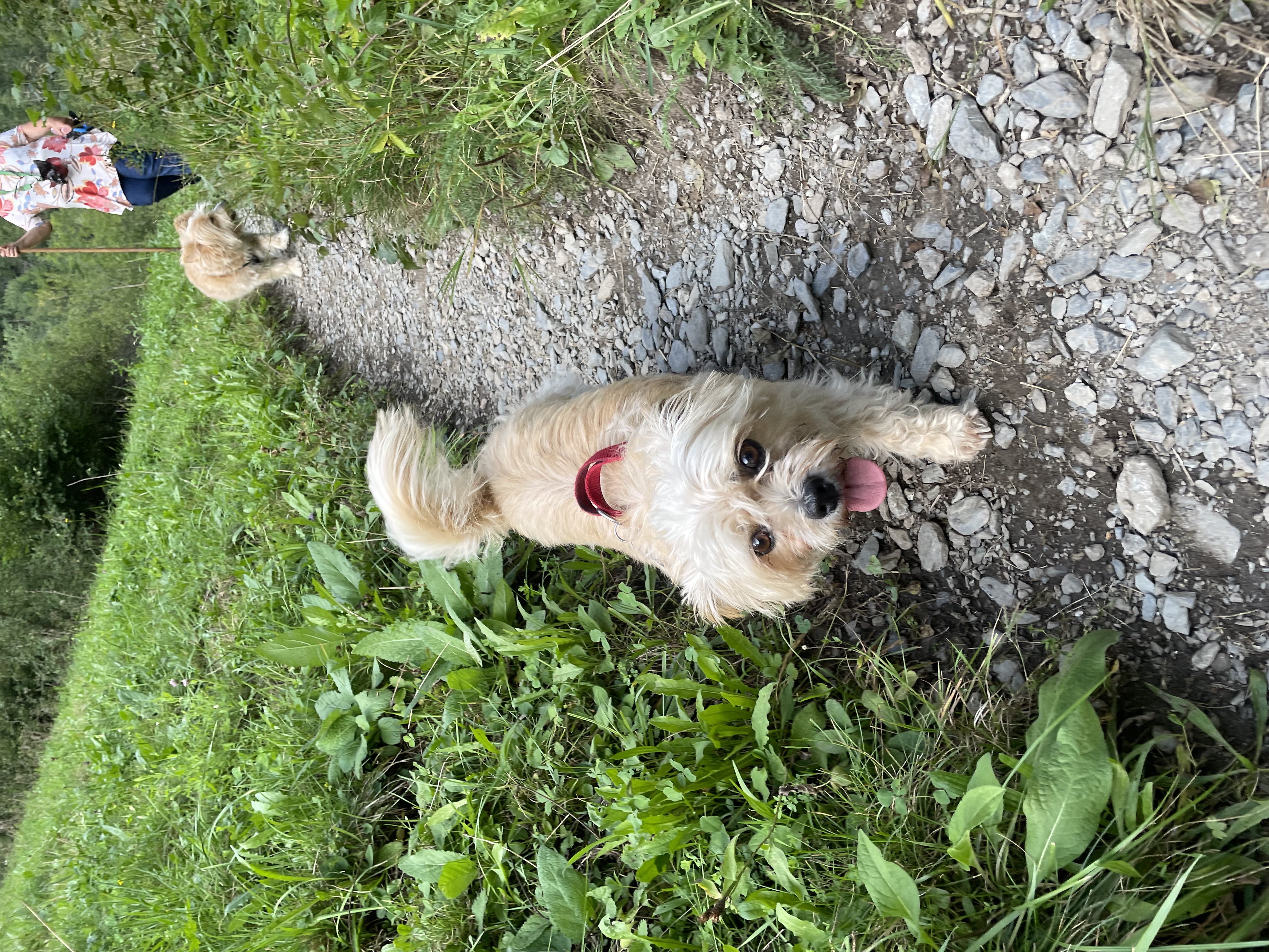 image-5