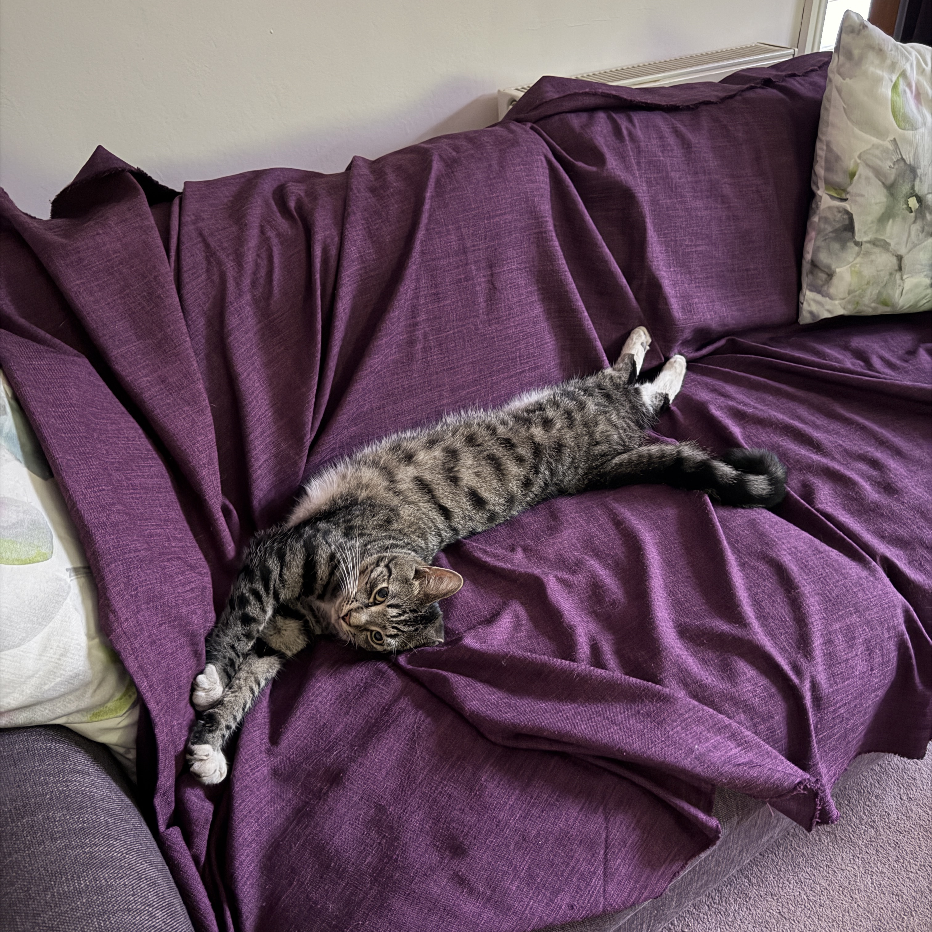 Oscar