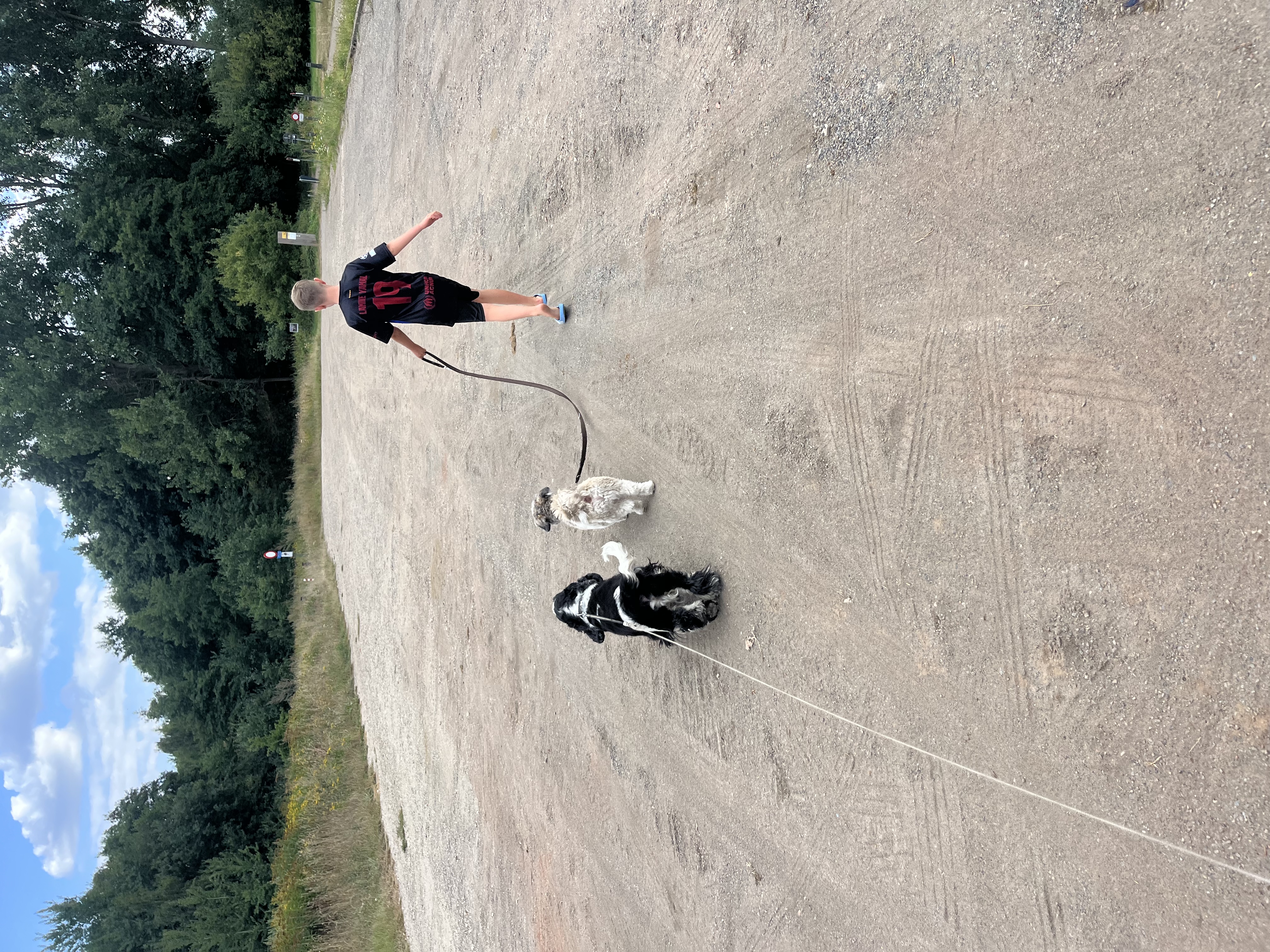 image-8