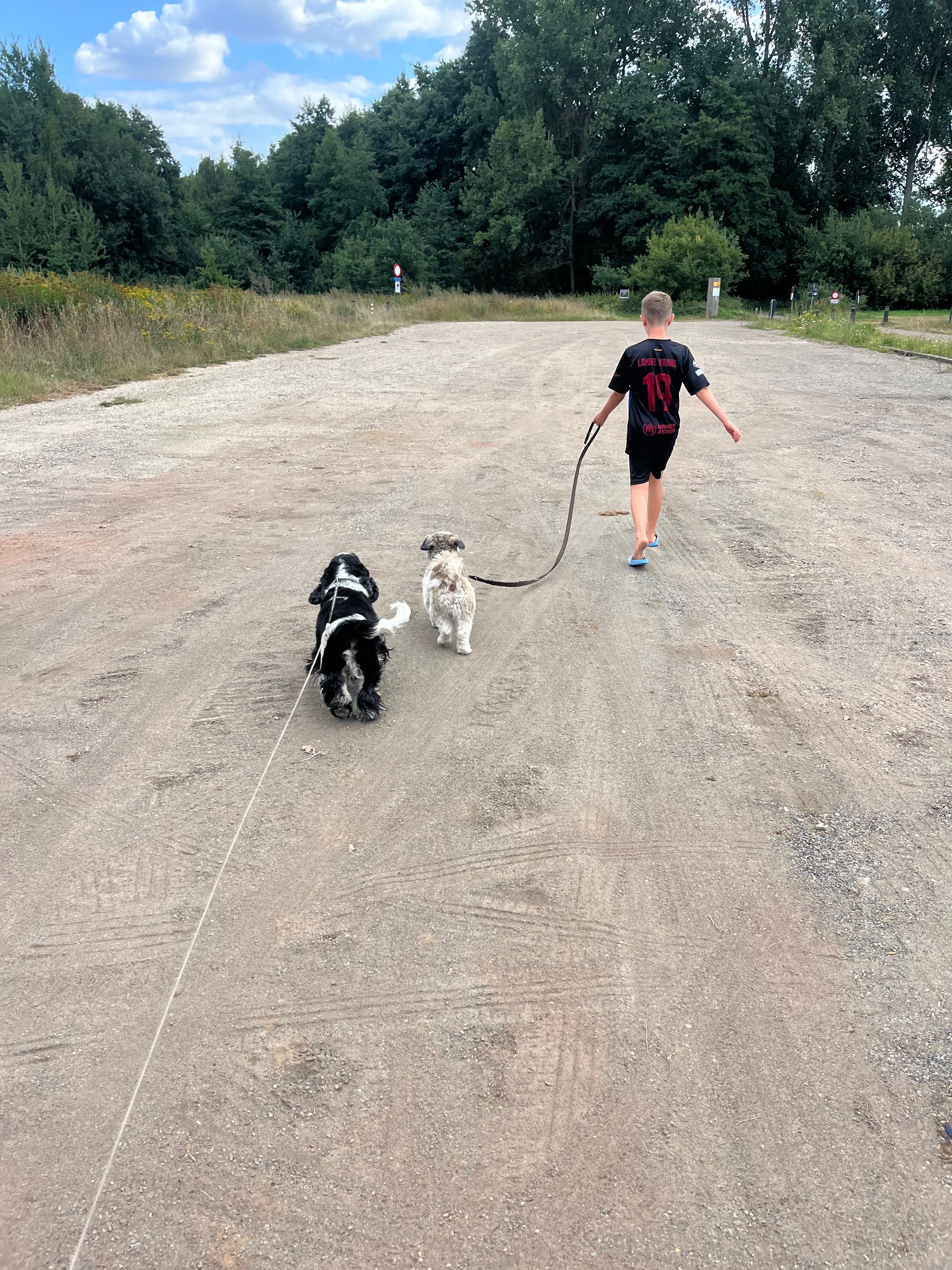 image-8