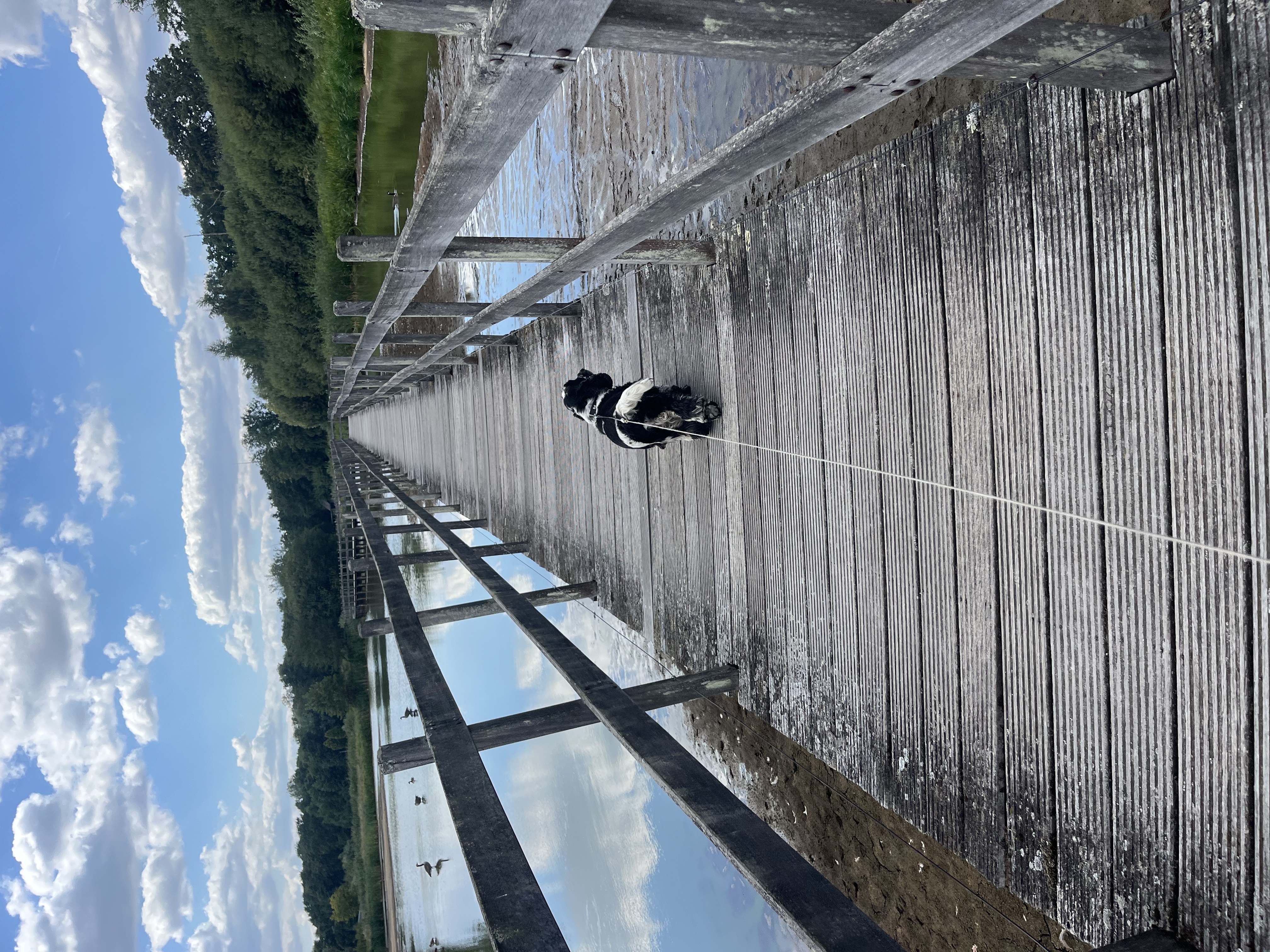 image-14