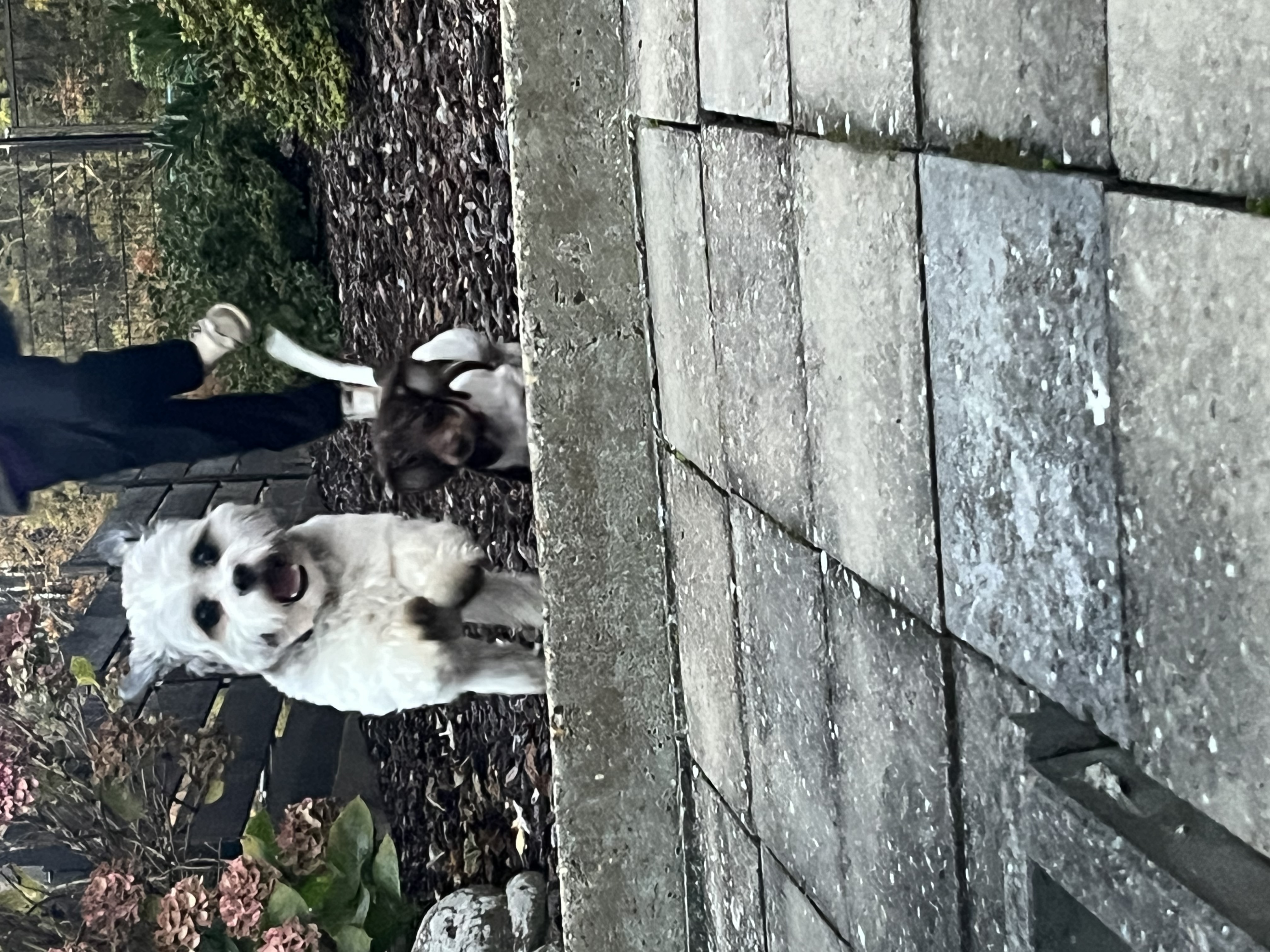 image-6