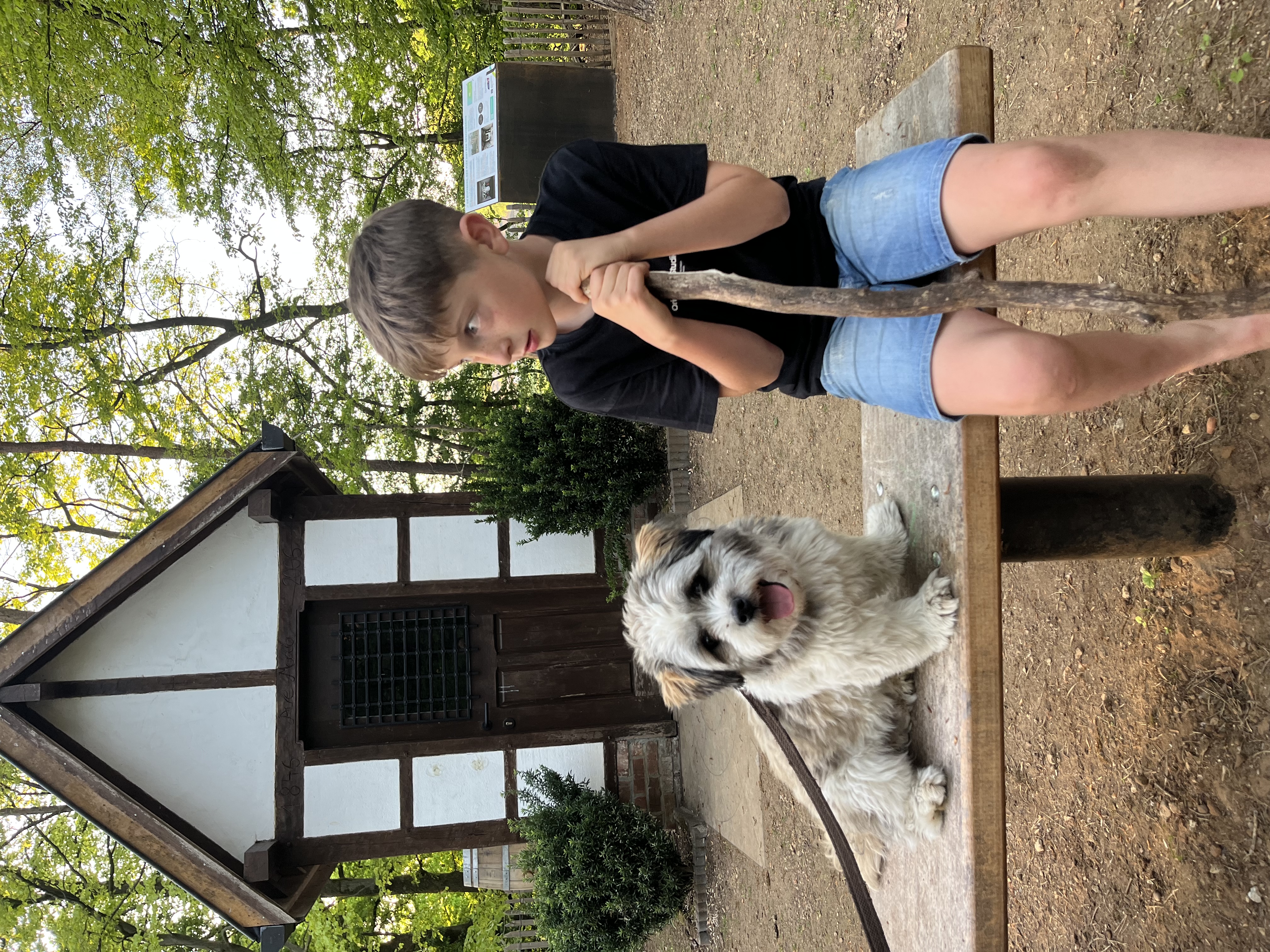 image-7
