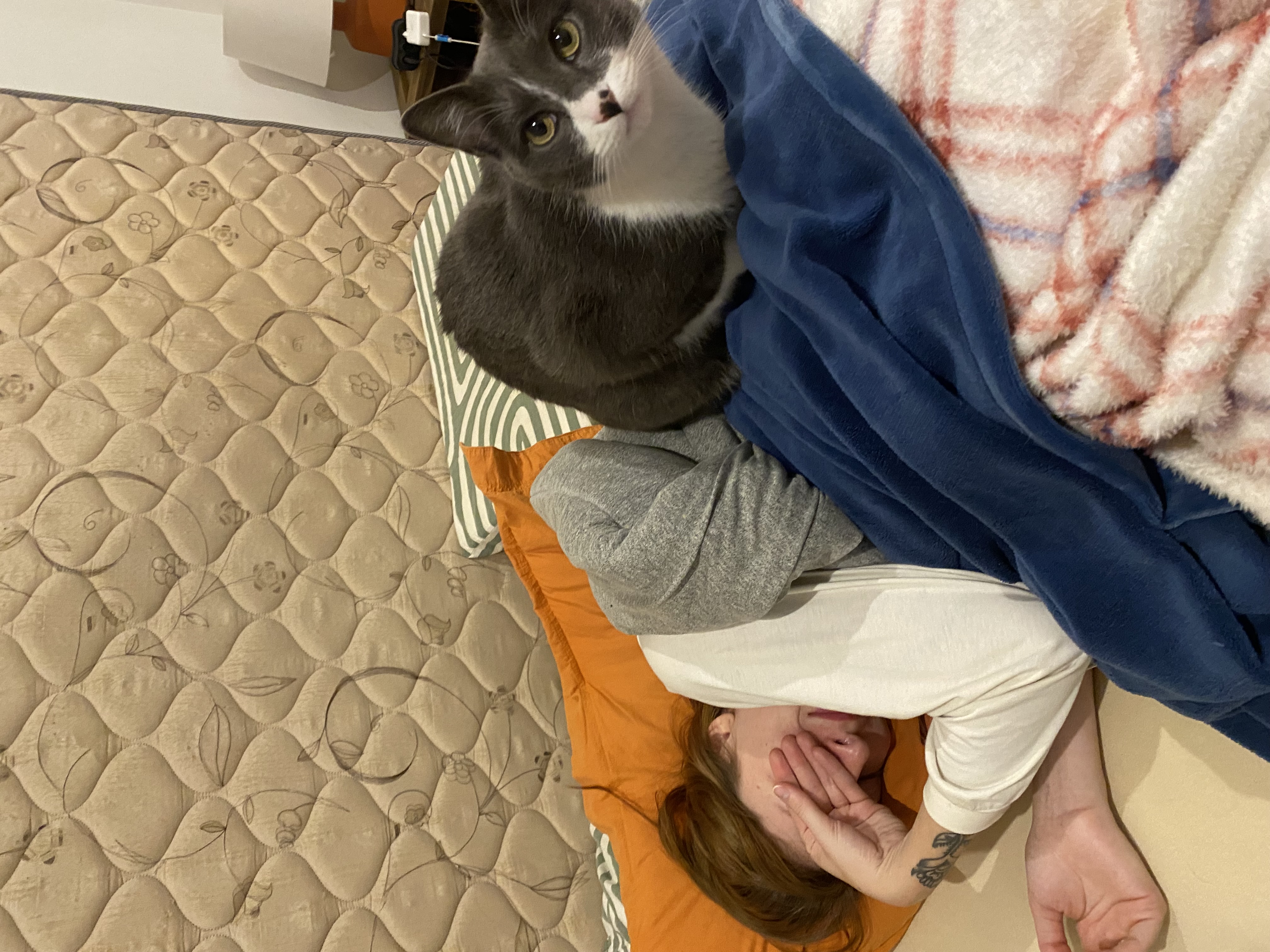 image-12
