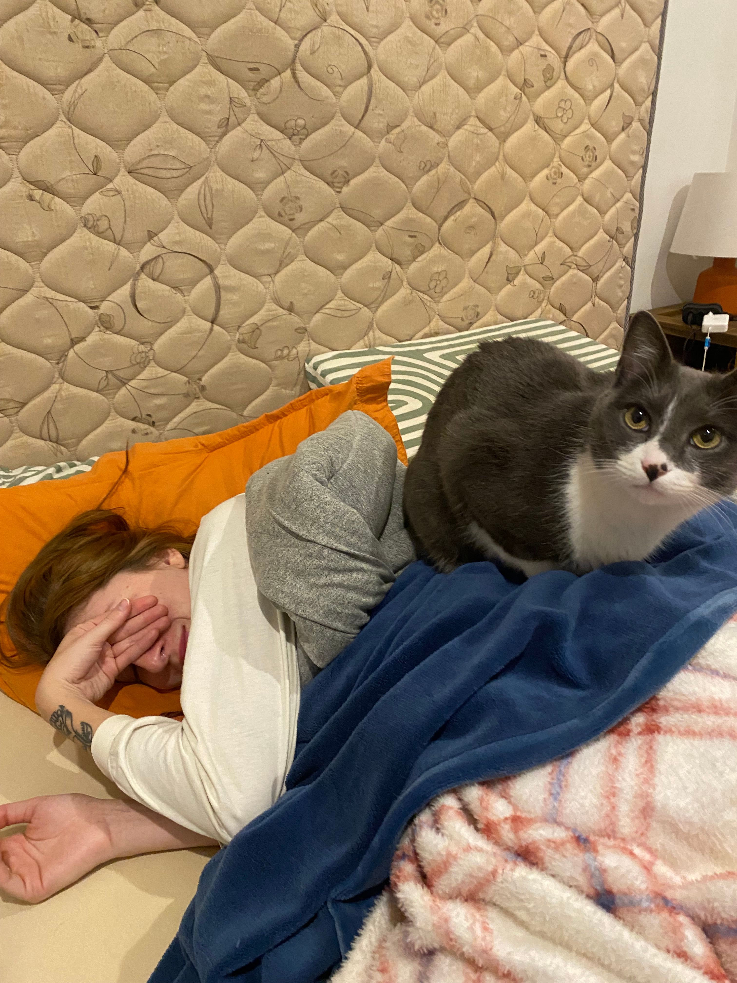 image-12