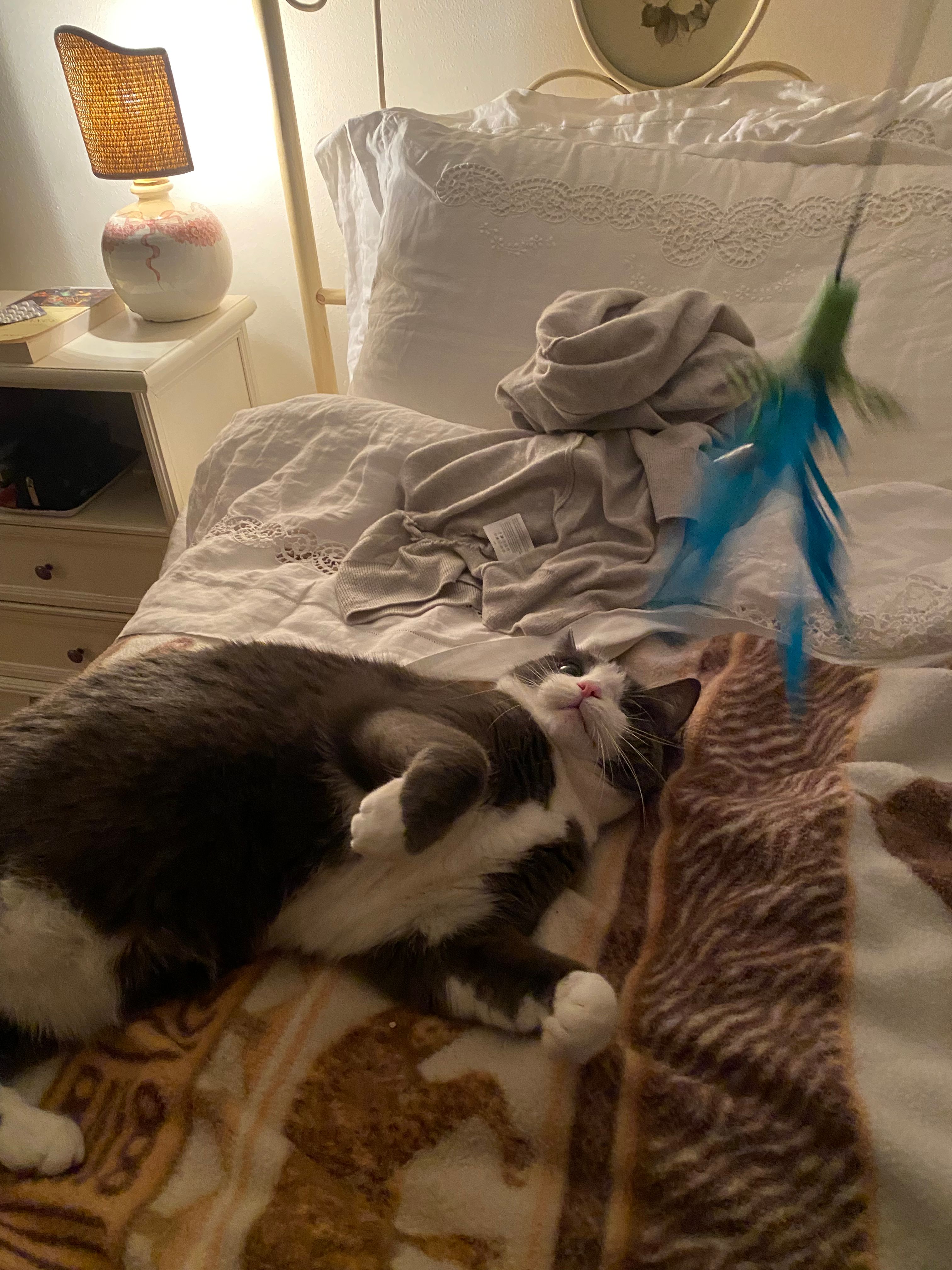 image-12