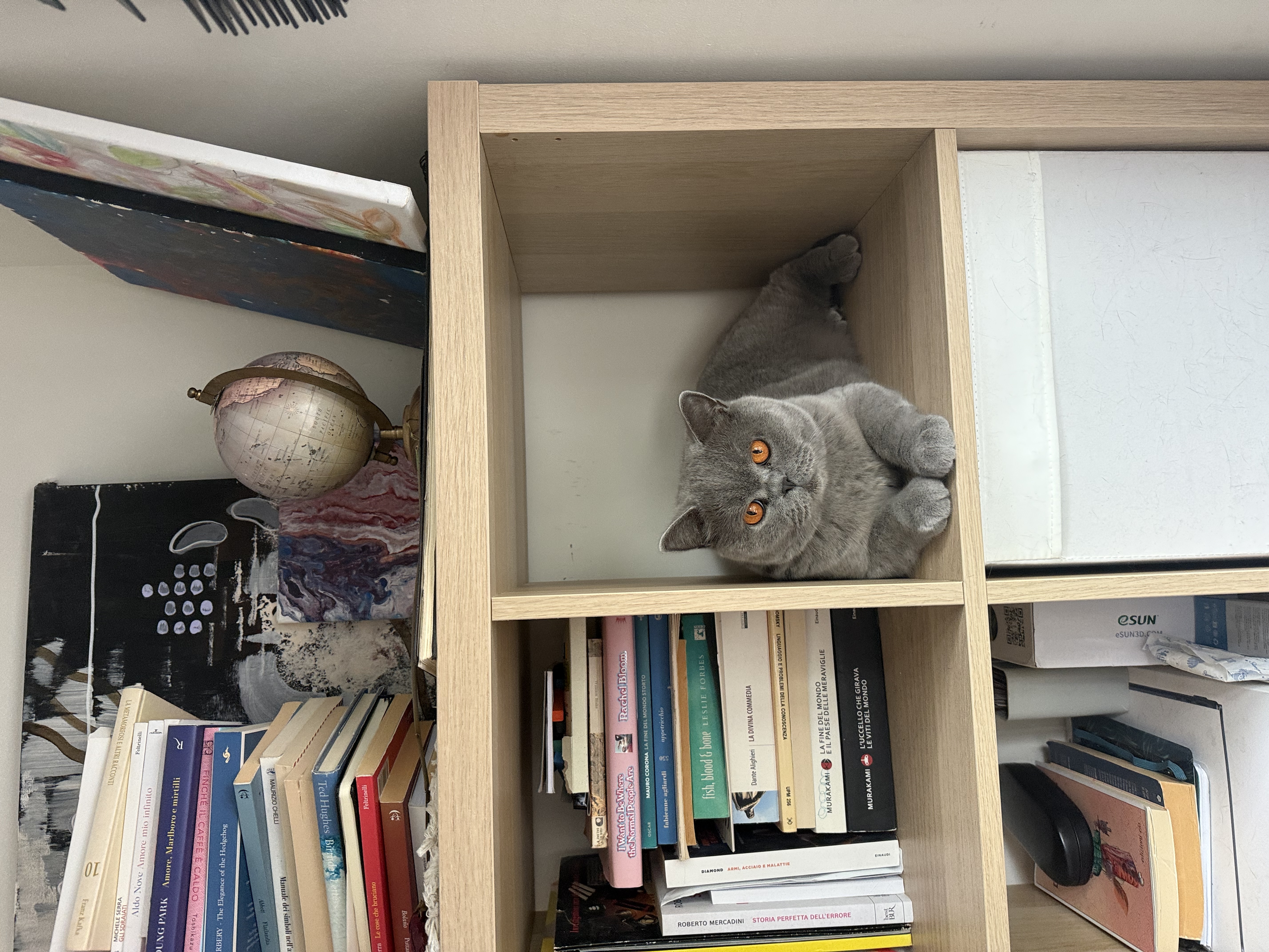 image-4