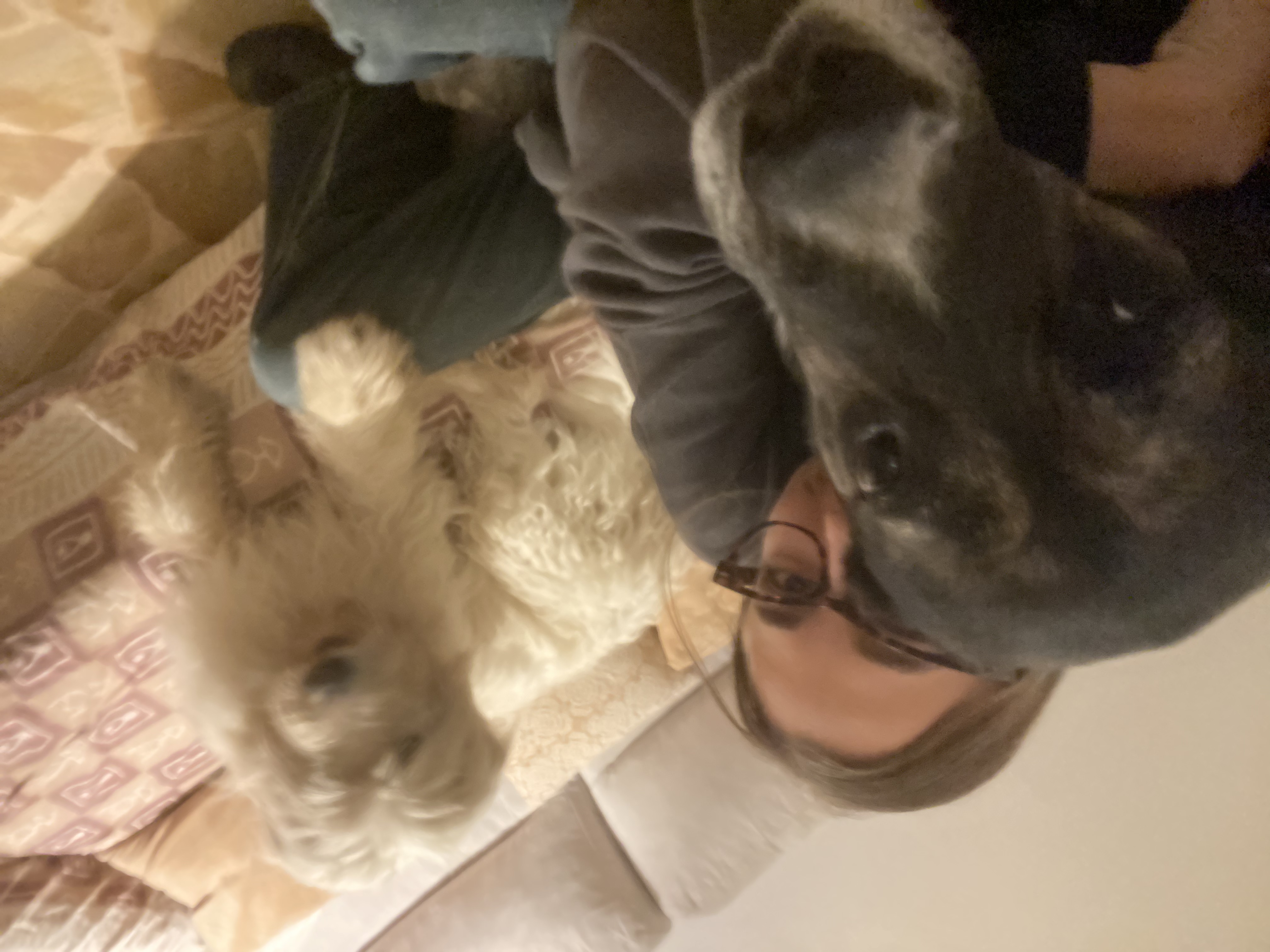 image-7